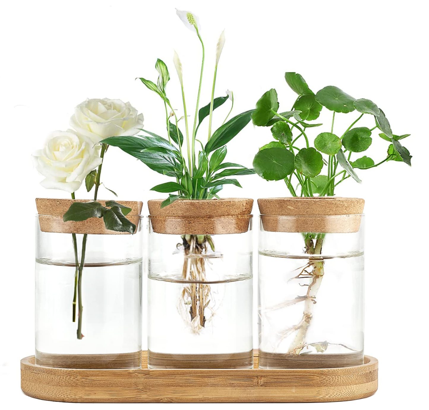 3Pcs Glass Propagation Terrarium with Lid Wooden Stand Desktop Hydroponic Planter Home Decor