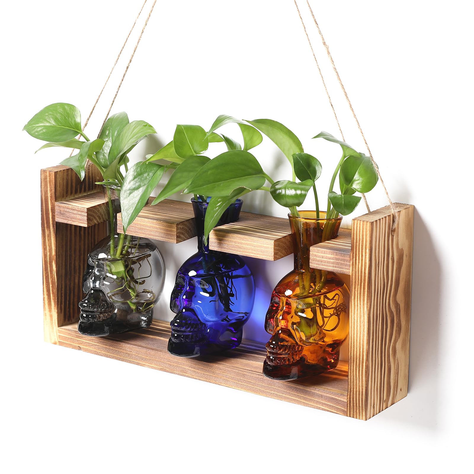 Skull Shaped Glass Propagation Vase with Wood Stand, Halloween Gothic Home Decor, Unique Gift for Father