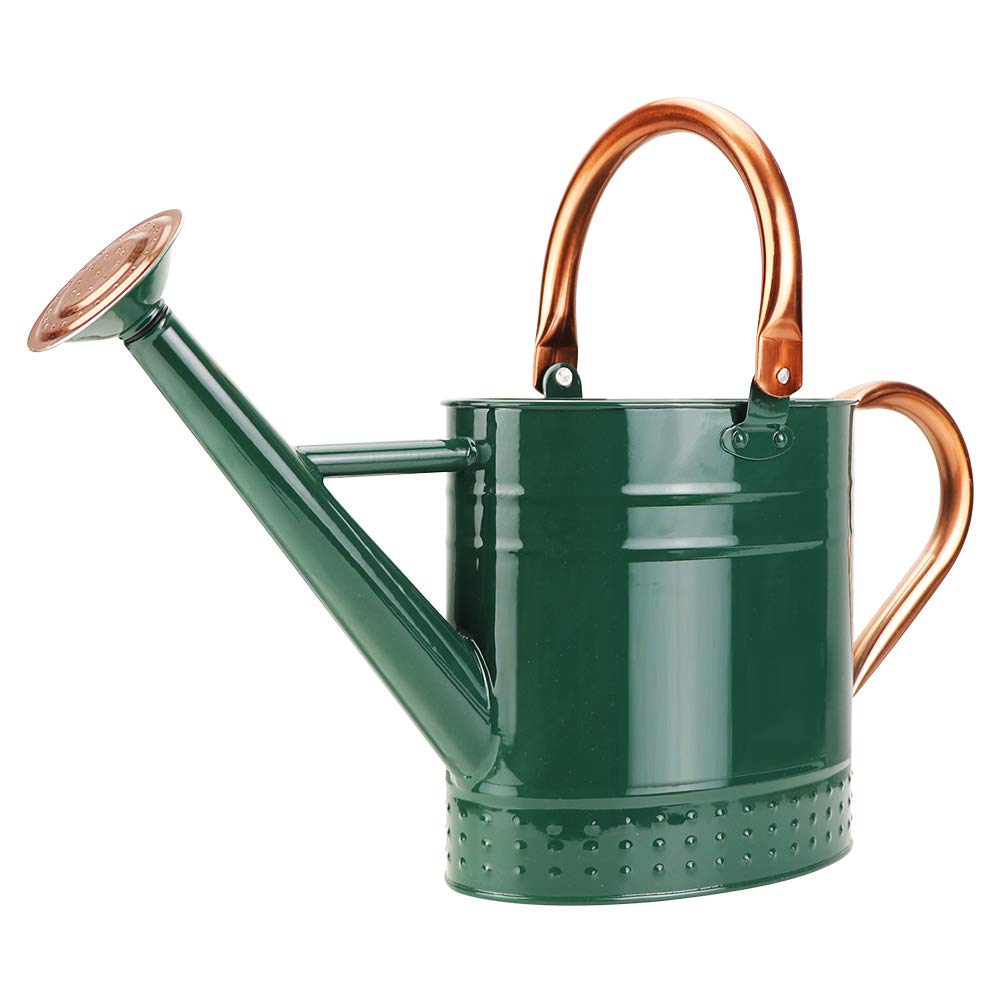 1 Gallon Galvanized Steel Watering Can, Metal Water Can with Removable Spout & Embossed Design for Indoor Outdoor Plants