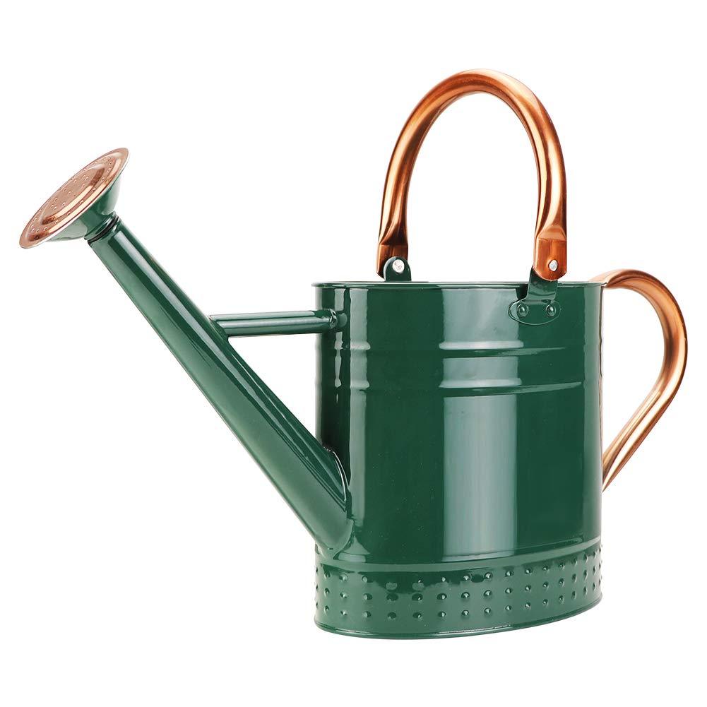 1 Gallon Galvanized Steel Watering Can, Metal Water Can with Removable Spout & Embossed Design for Indoor Outdoor Plants