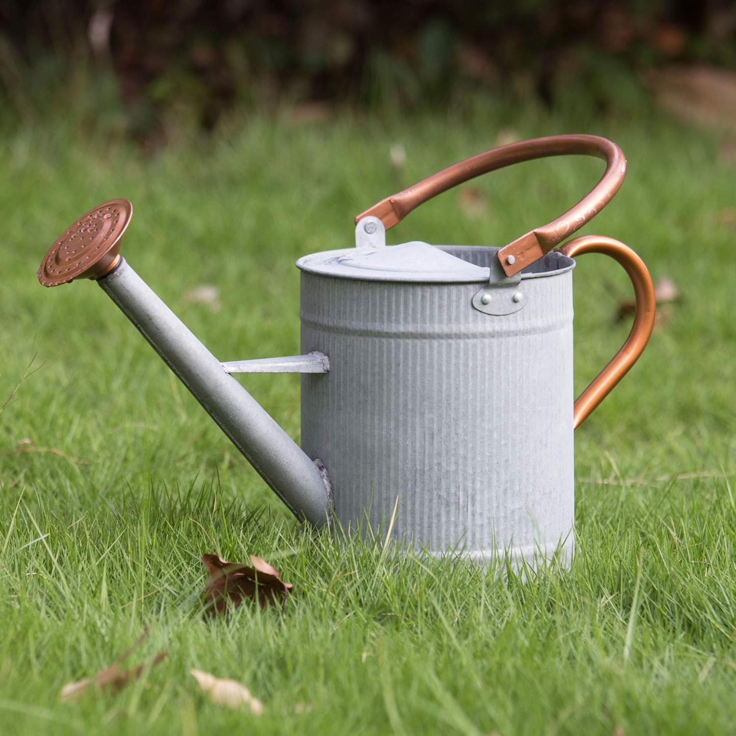 1 Gallon Galvanized Metal Watering Can with Removable Spout, Farmhouse Style for Indoor & Outdoor Plants