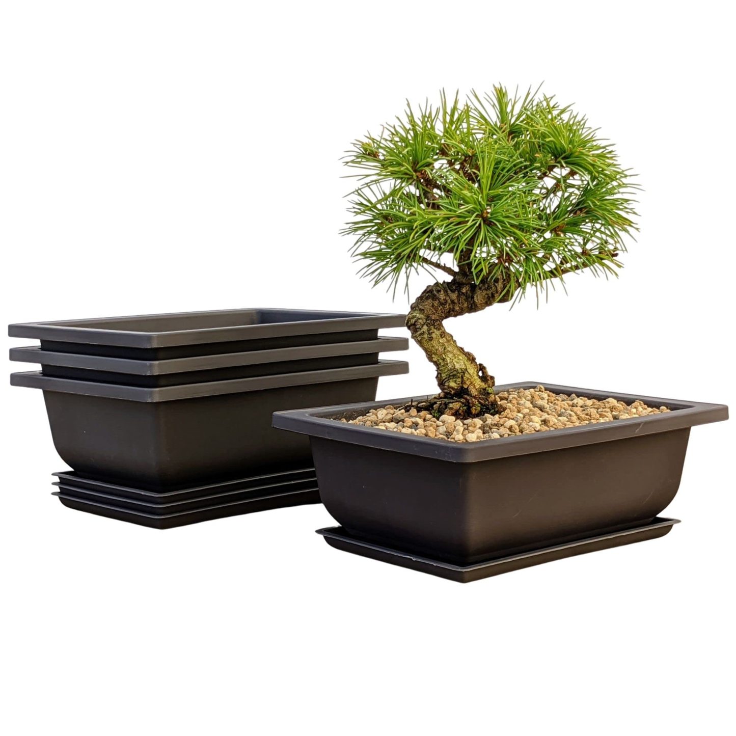 Training Pots with Humidity Trays – Built-in Mesh, 6 Inch Large Planters, Durable Shatterproof Poly-Resin Pot Set of 3
