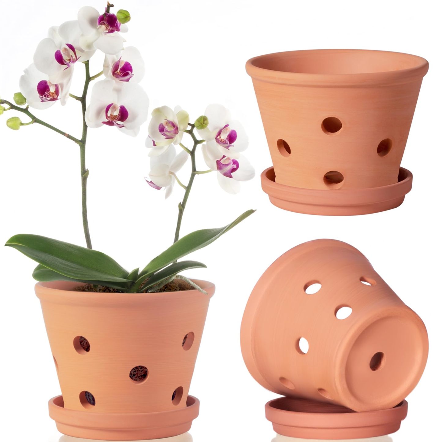 6 Inch Terracotta Orchid Pots with Drainage Holes & Saucers – 3 Pack Clay Planters for Repotting, Indoor & Outdoor Use