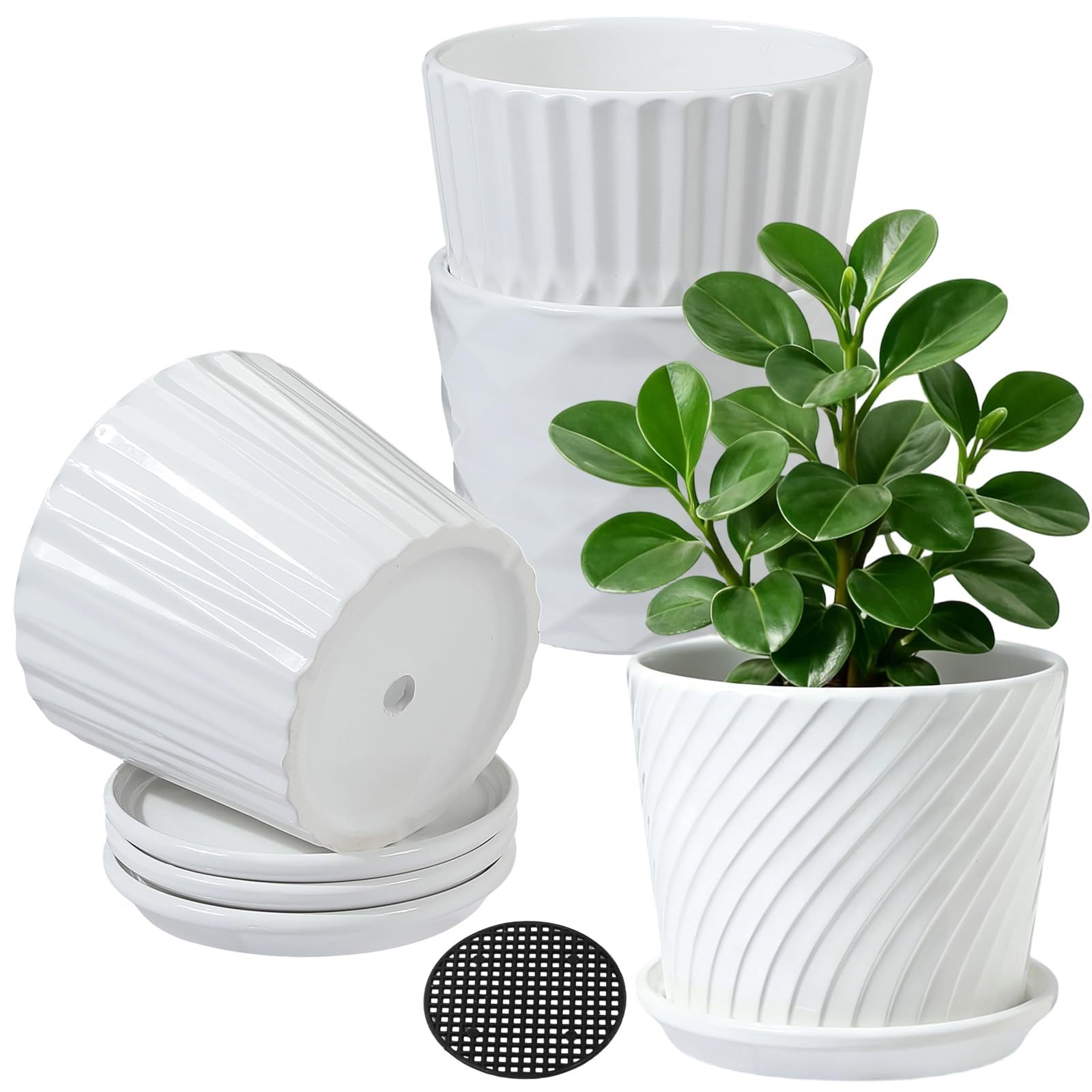 4 Pack 5.5 Inch White Ceramic Planter Set – Cylinder Pots with Connected Saucer  for Succuelnt and Little Snake Plants