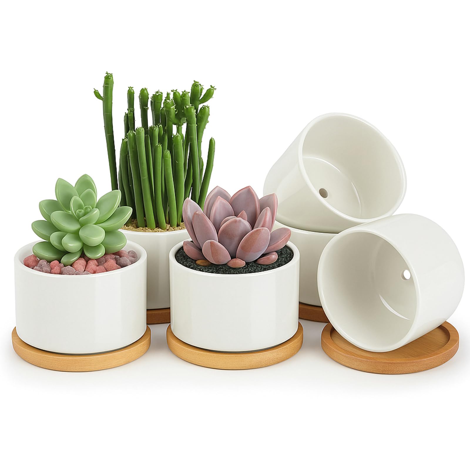 Ceramic Succulent Pots, 3.6 Inch Small Ceramic Plant Pots – 6 Pack White Succulent Planters with Drainage & Bamboo Tray for Home & Office