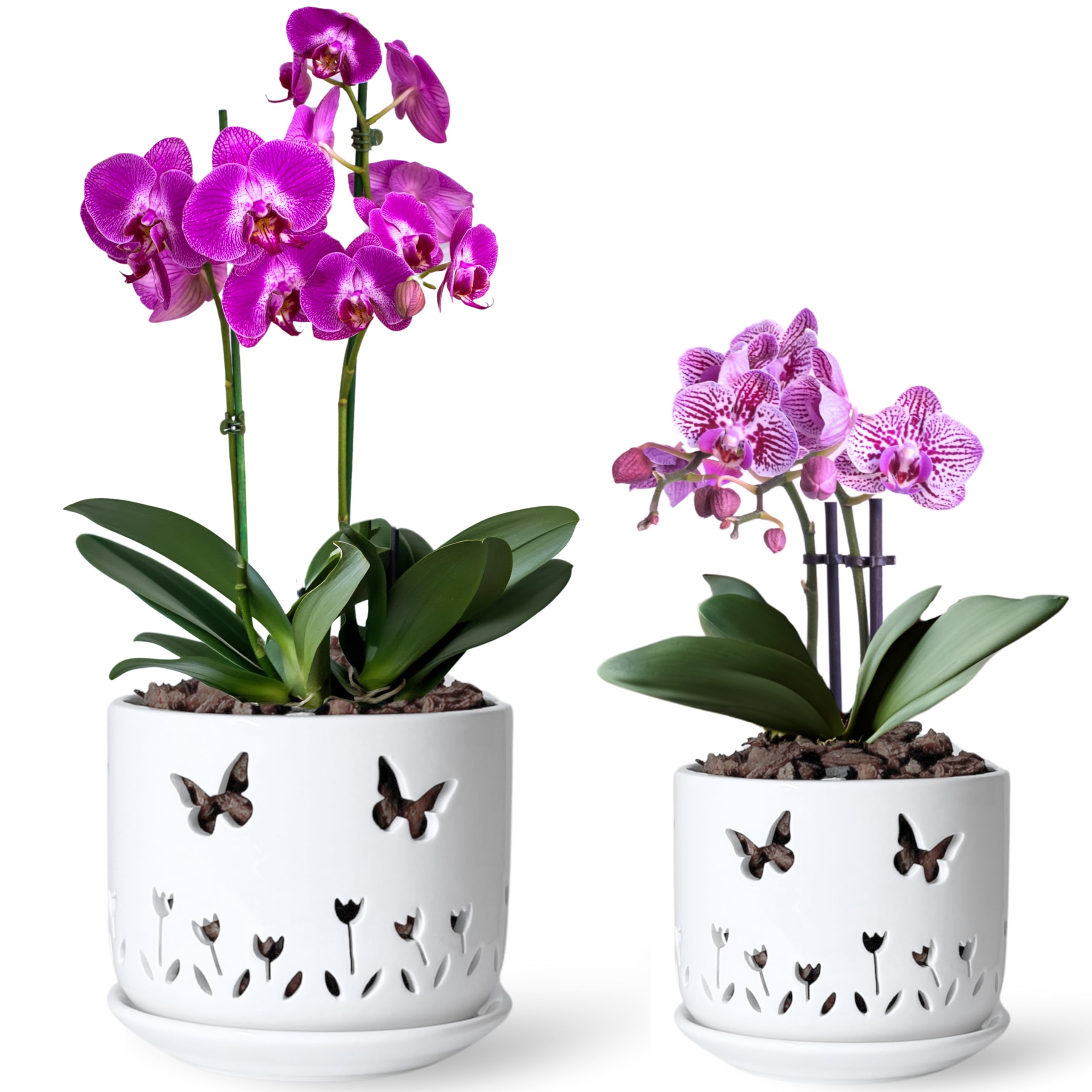 2 Pack White Ceramic Orchid Pots with Butterfly & Tulip Design, 5+6 Inch Planters with Drainage Holes & Saucers for Indoor Outdoor Repotting