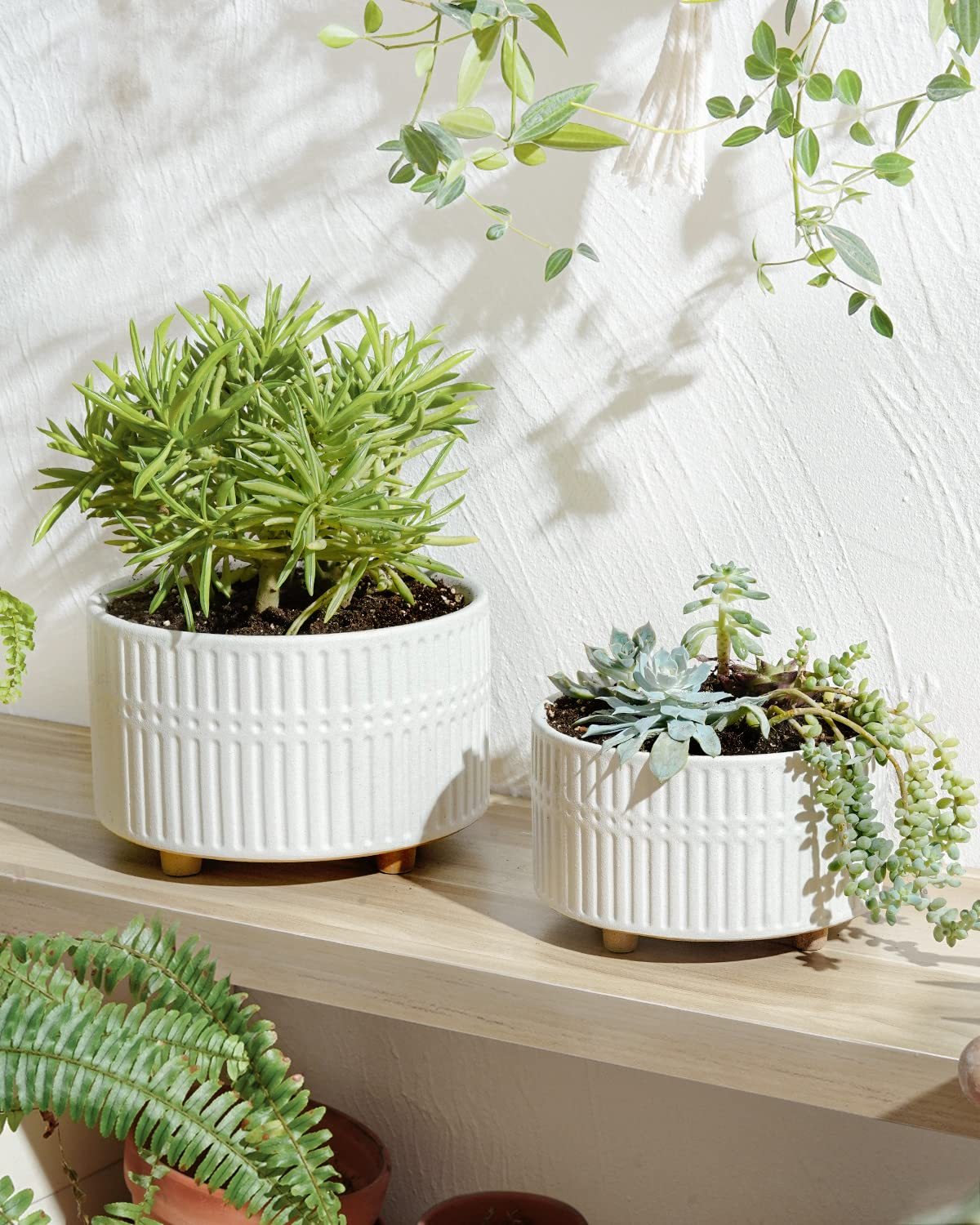 Succulent Pots Set of 2, 6.5+8 Inch Matte White Ceramic Planters, Shallow Round Succulent Planters with Drainage Hole for Indoor Use