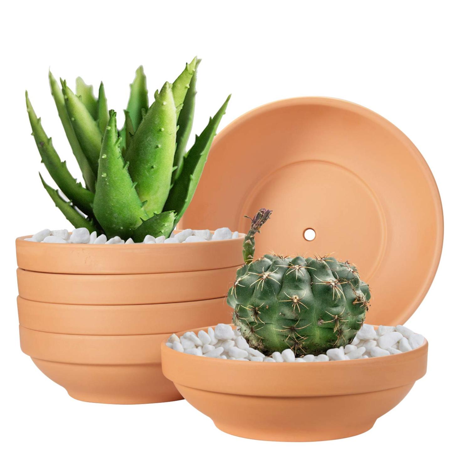 6 Pack 6.43 Inch Shallow Terra Cotta Pots, Clay Plant Pots with Drainage Hole for Indoor & Outdoor Plants