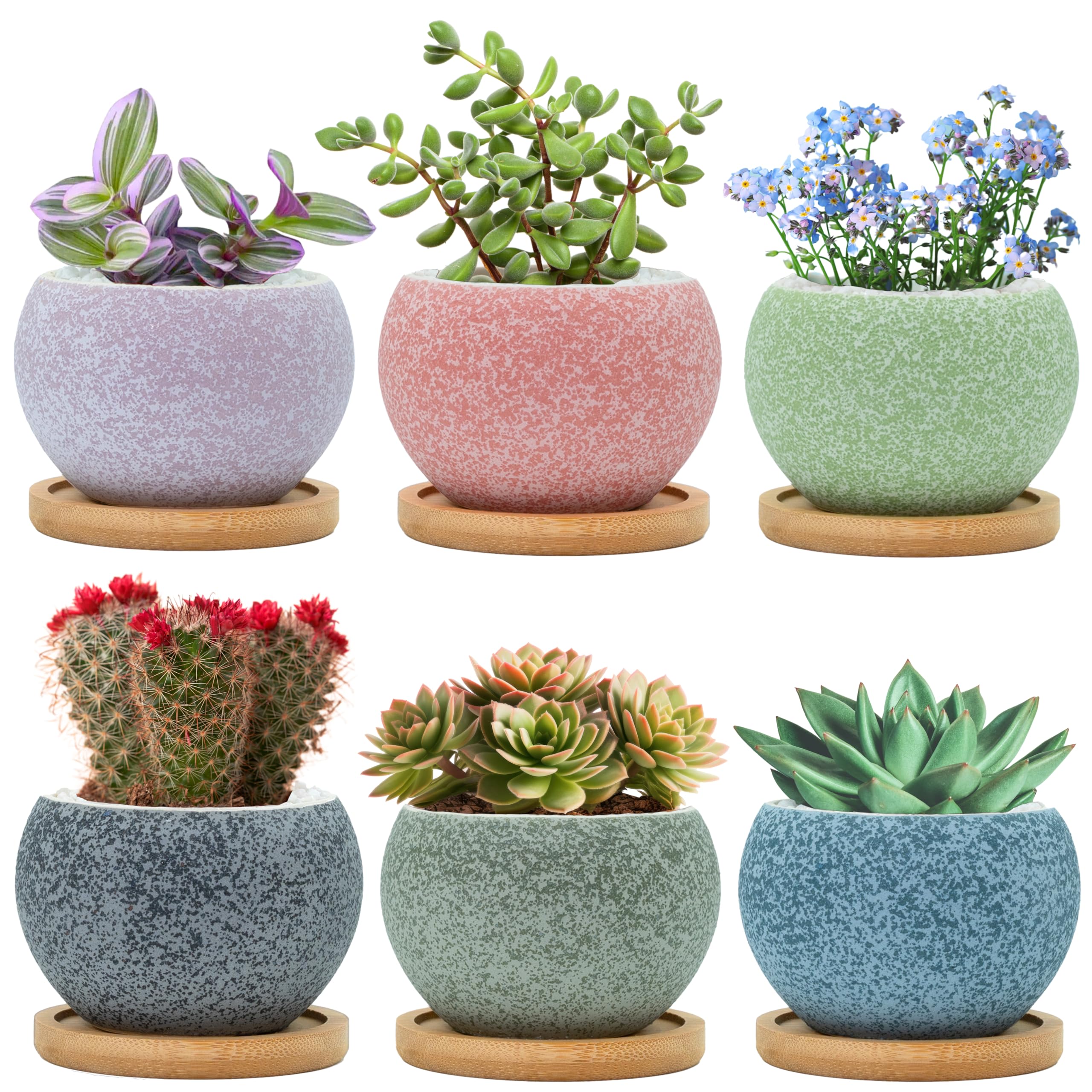 6 Pack 3 Inch Ceramic Succulent Pots, Small Planters with Drainage for Indoor Plants, Mini Cactus & 2 Inch Small Plants