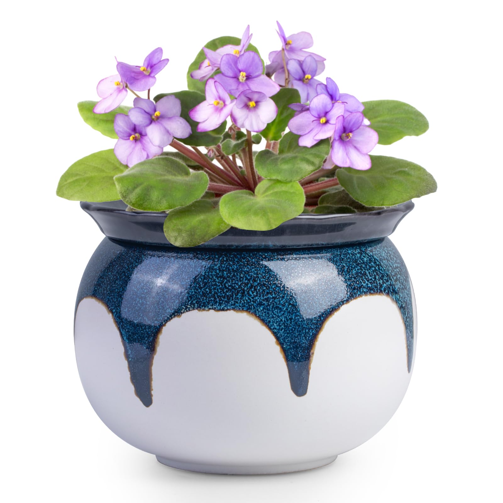 6 Inch Ceramic Self Watering African Violet Pots, Easy Planters for Busy Plant Lovers, Automatic Water Absorption for Indoor Plants (Plants Not Included)