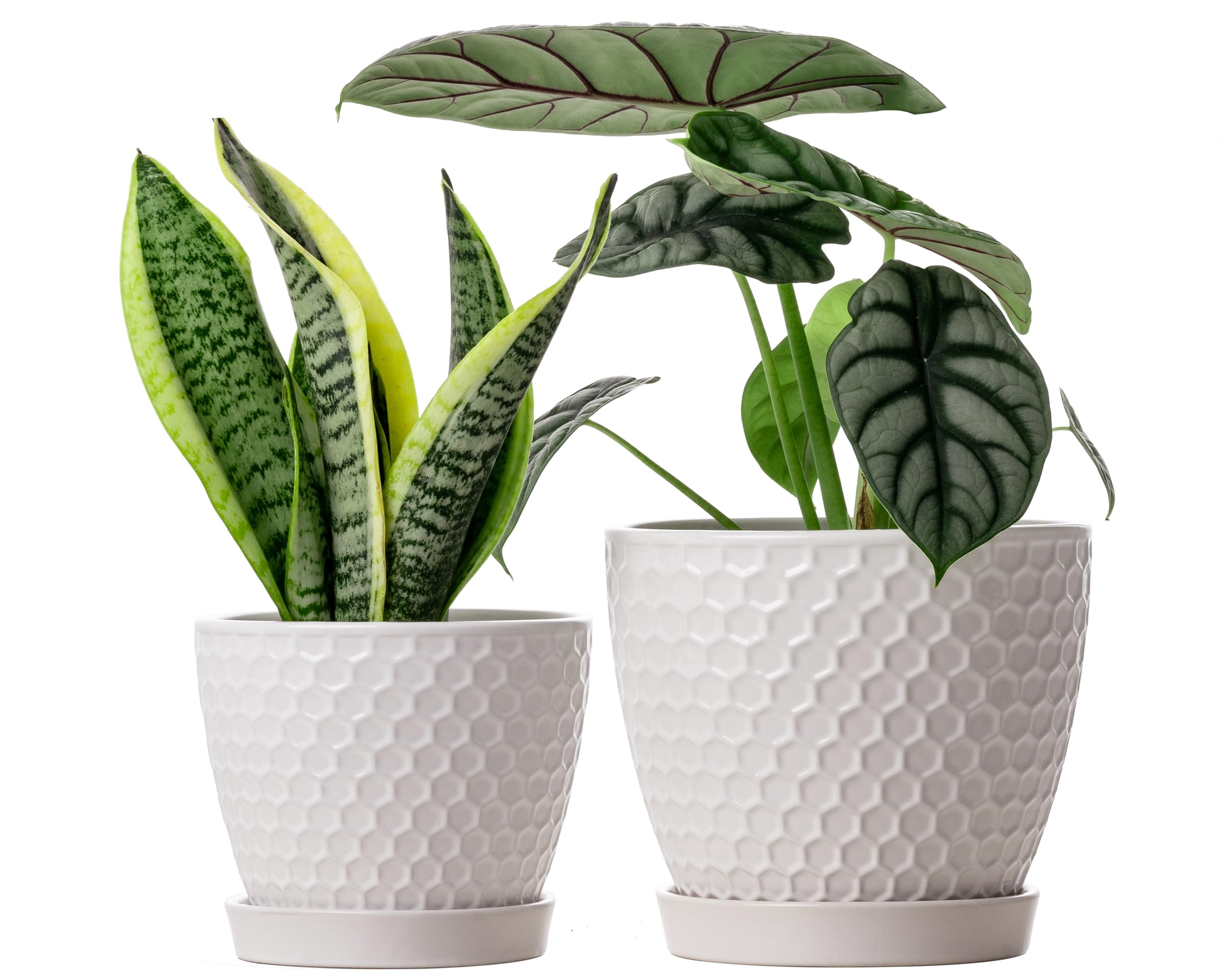 Ceramic Plant Pots Set of 2 (6.6" +5.5"), High-Fired Clay Planters with Drainage Holes & Saucers, Modern Honeycomb Design Home Decor for All Indoor House Plants