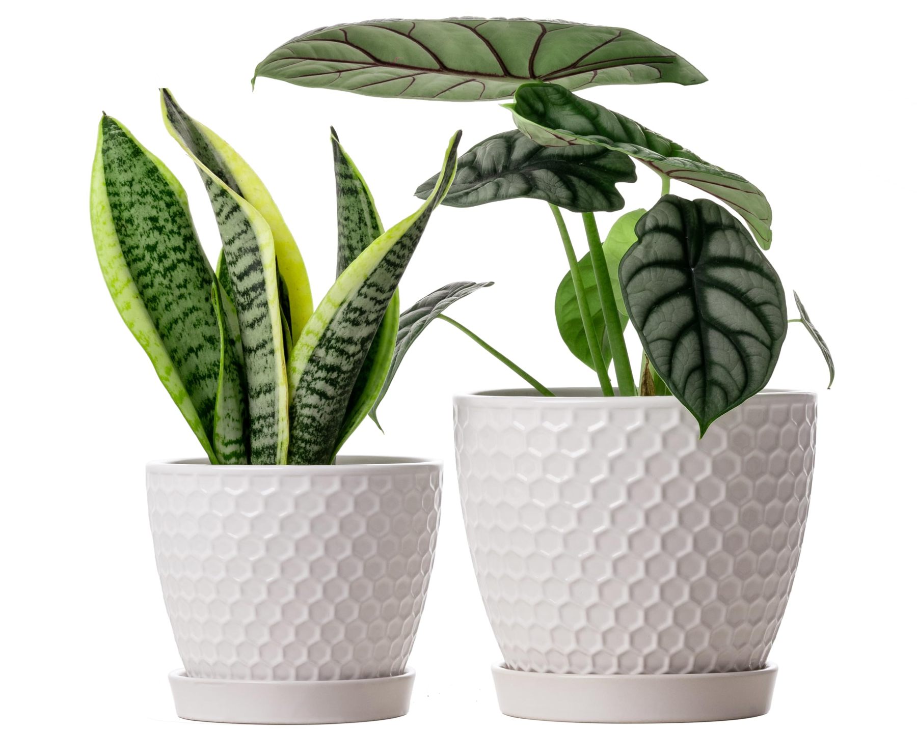 Ceramic Plant Pots Set of 2 (6.6" +5.5"), High-Fired Clay Planters with Drainage Holes & Saucers, Modern Honeycomb Design Home Decor for All Indoor House Plants