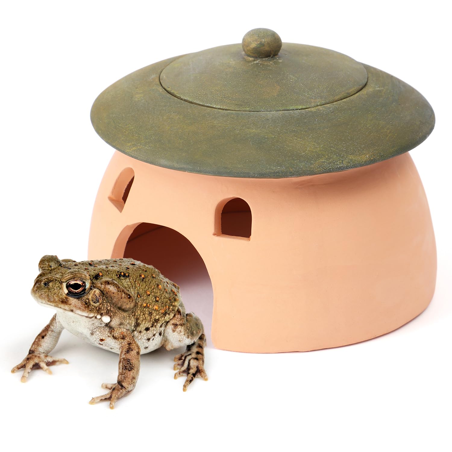 Terracotta Reptile Cave with Green Lid