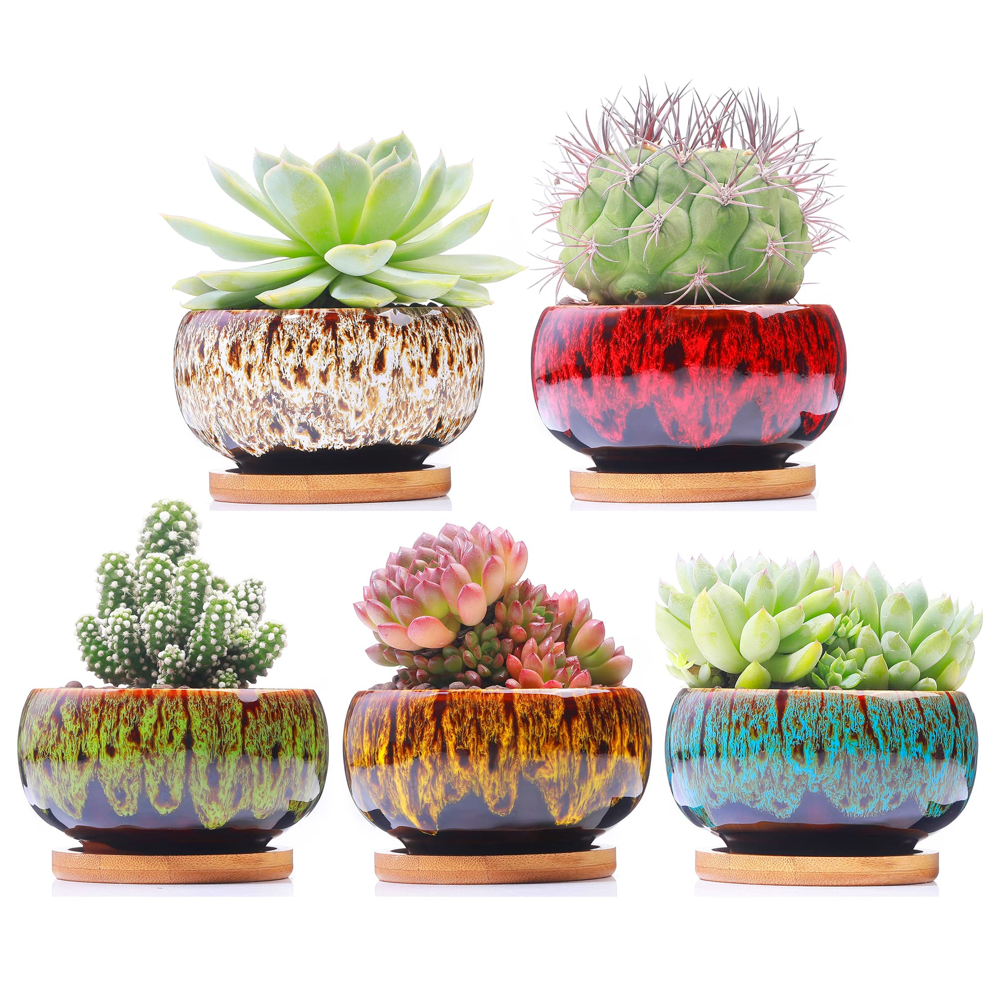 Set of 5 Cute Ceramic Succulent Planters with Drainage Holes & Attached Saucers, Decorative Mini Garden Pots for Indoor Plants – Plants Not Included