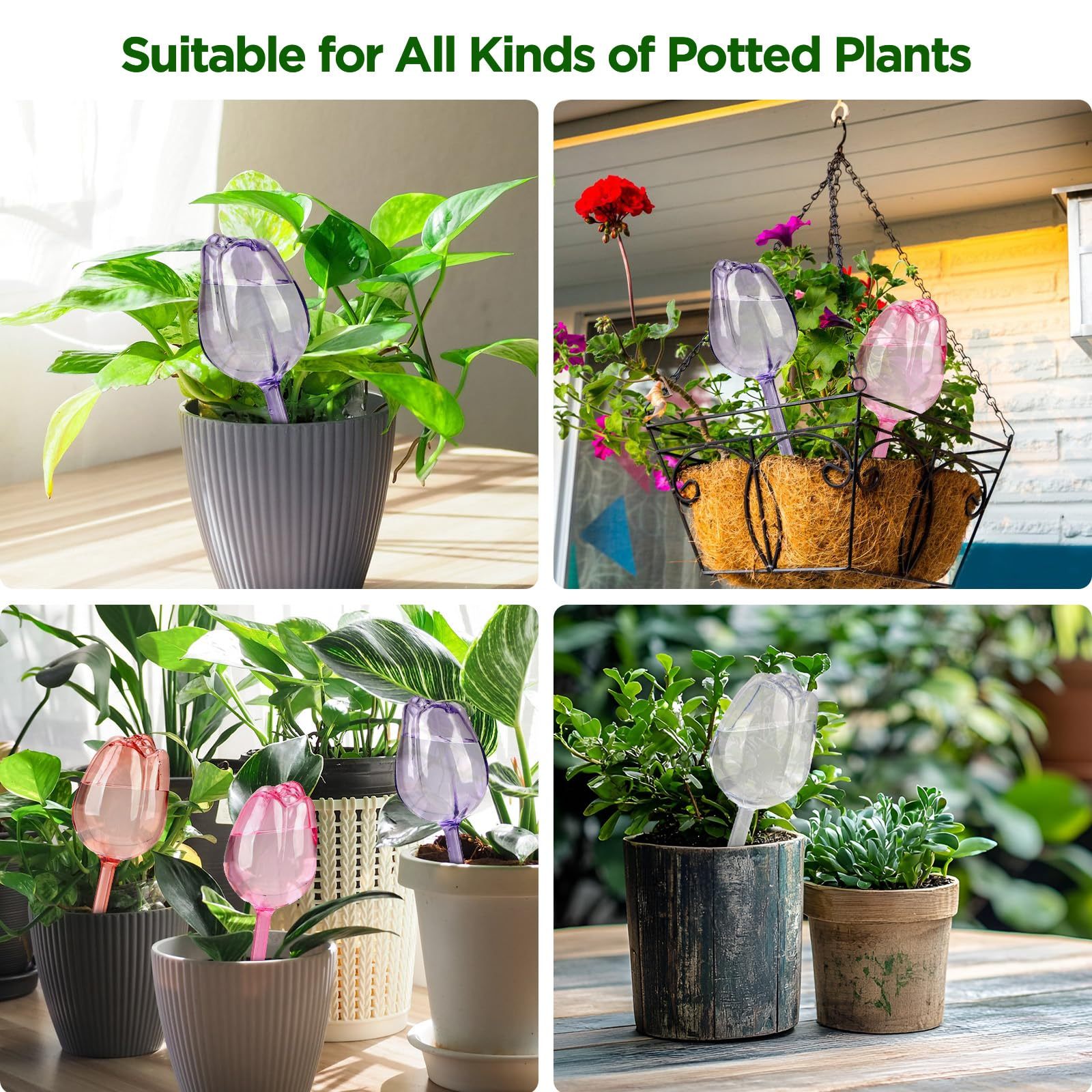 4 Pcs Tulip Shaped Self Watering Globes, Automatic Plastic Watering Bulbs for Indoor & Outdoor Plants