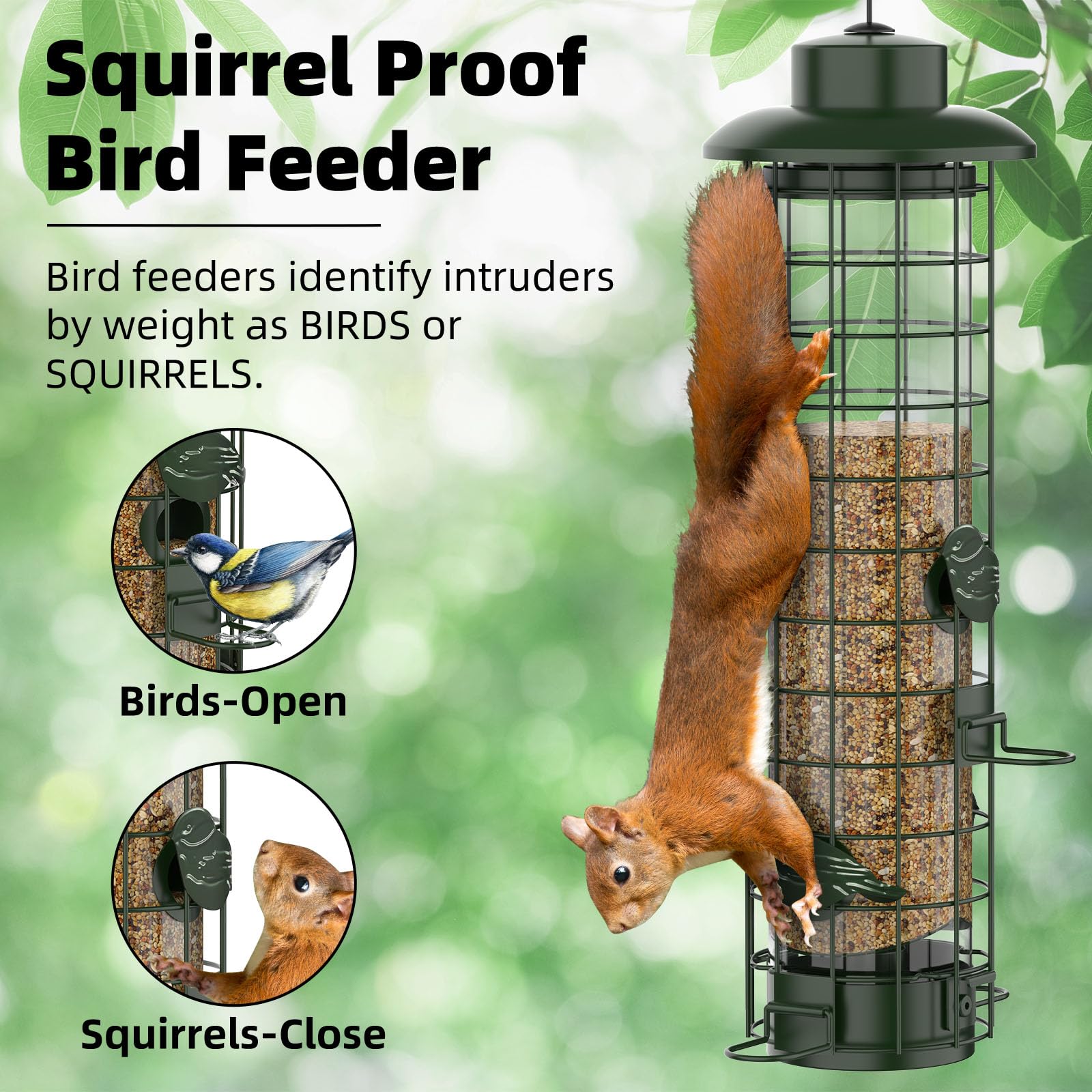 Squirrel Proof Metal Mesh Bird Feeder, Outdoor Hanging Gravity Protect Wild Bird Feeder, 3LB Large Capacity Green for Finch Cardinal Chickadee