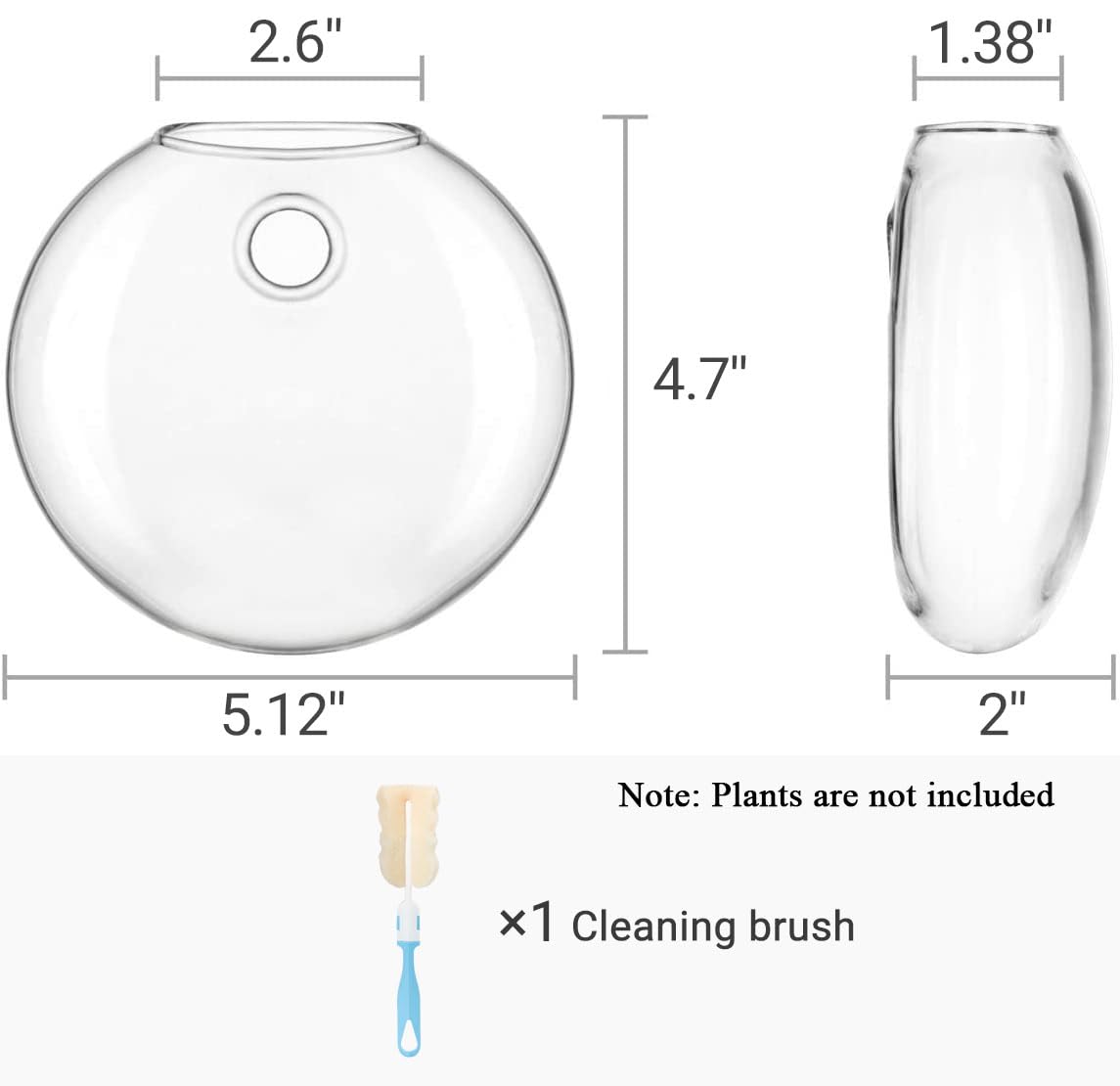 4Pcs Oblate Wall Hanging Glass Propagation Station, Hydroponic Flower Vase for Plant Cuttings, Home Bathroom Office Living Room Wall Decor Gift, Plants Not Included
