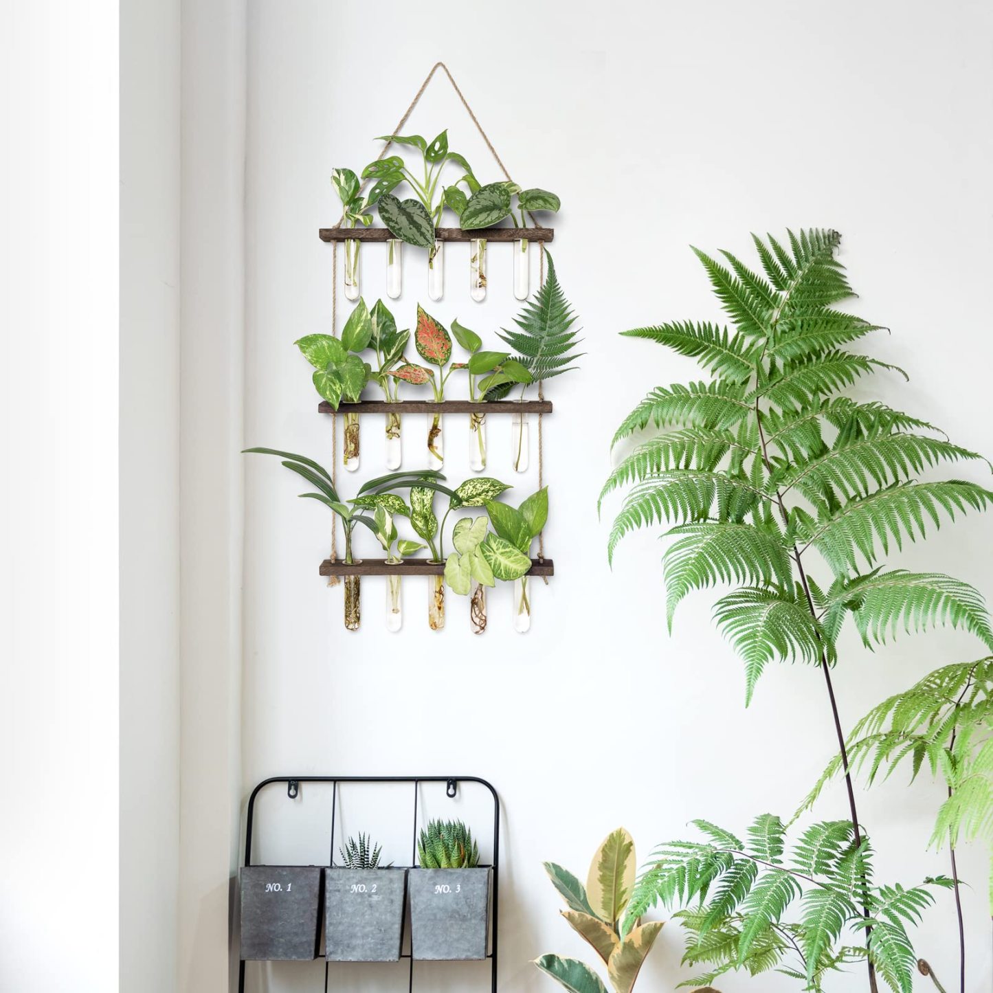 3 Tier Wall Hanging Plant Propagation Tubes, Wooden Frame Test Tube Glass Vase, Hydroponic Cuttings Terrarium, Home Garden Office Wall Decor Gift