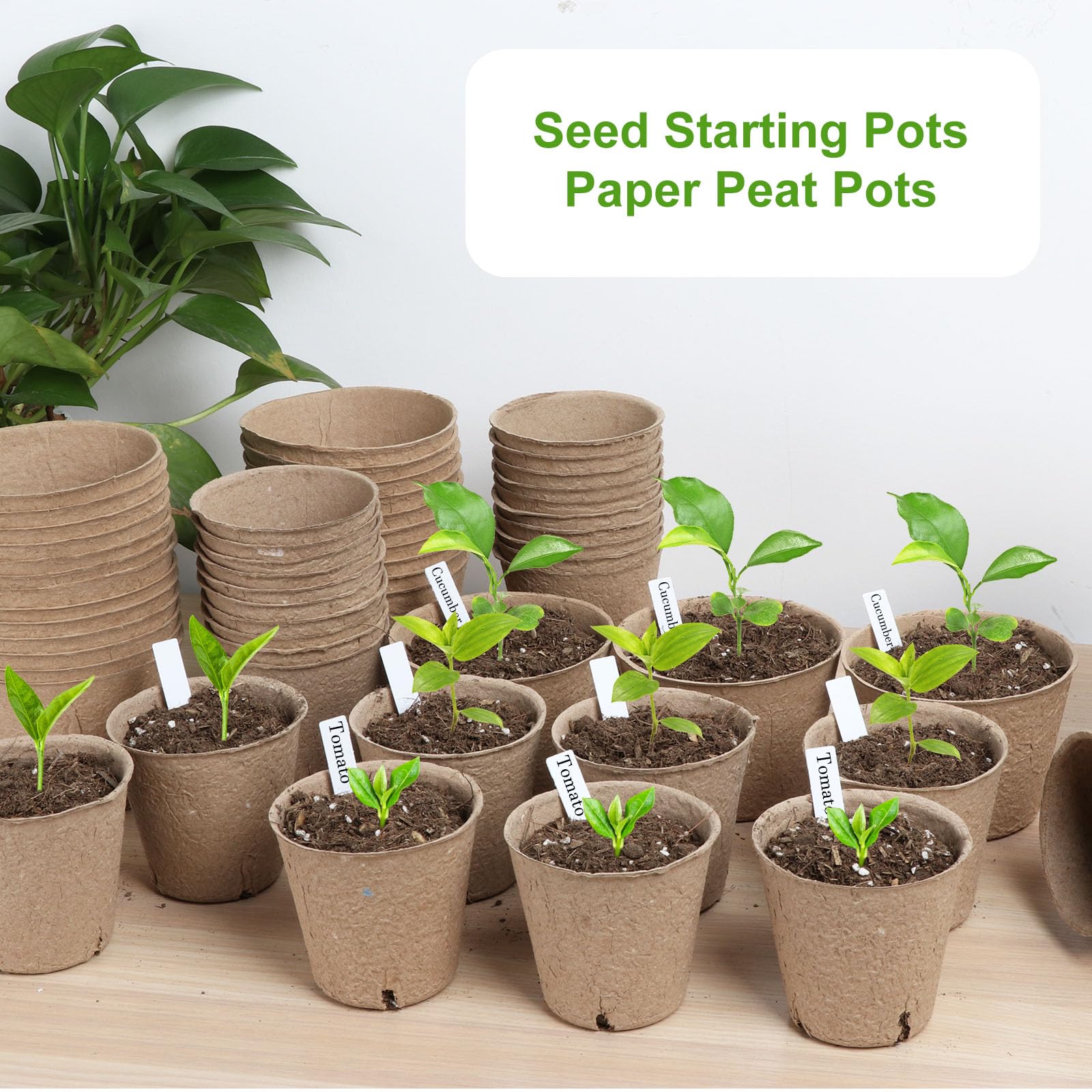 Round Nursery Seedling Pots