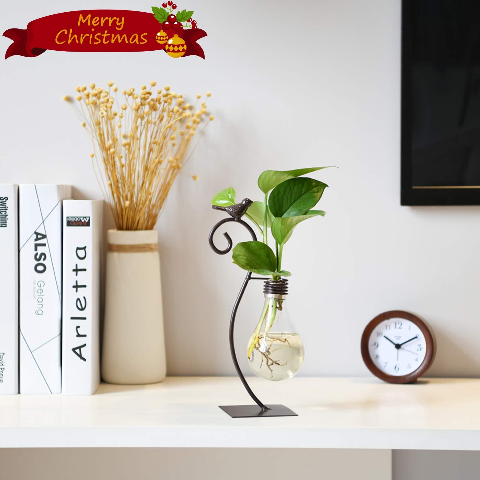 Modern Glass Hydroponic Vase Bulb Shaped Desktop Planter with Metal Holder for Home Decor