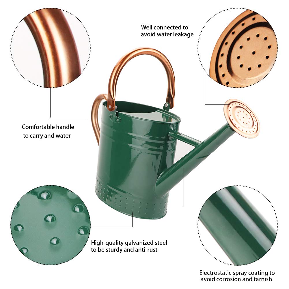 1 Gallon Galvanized Steel Watering Can, Metal Water Can with Removable Spout & Embossed Design for Indoor Outdoor Plants