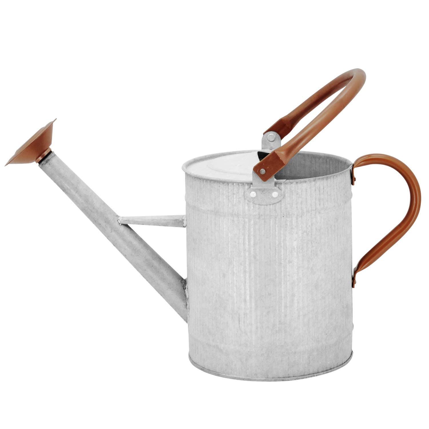 1 Gallon Galvanized Metal Watering Can with Removable Spout, Farmhouse Style for Indoor & Outdoor Plants