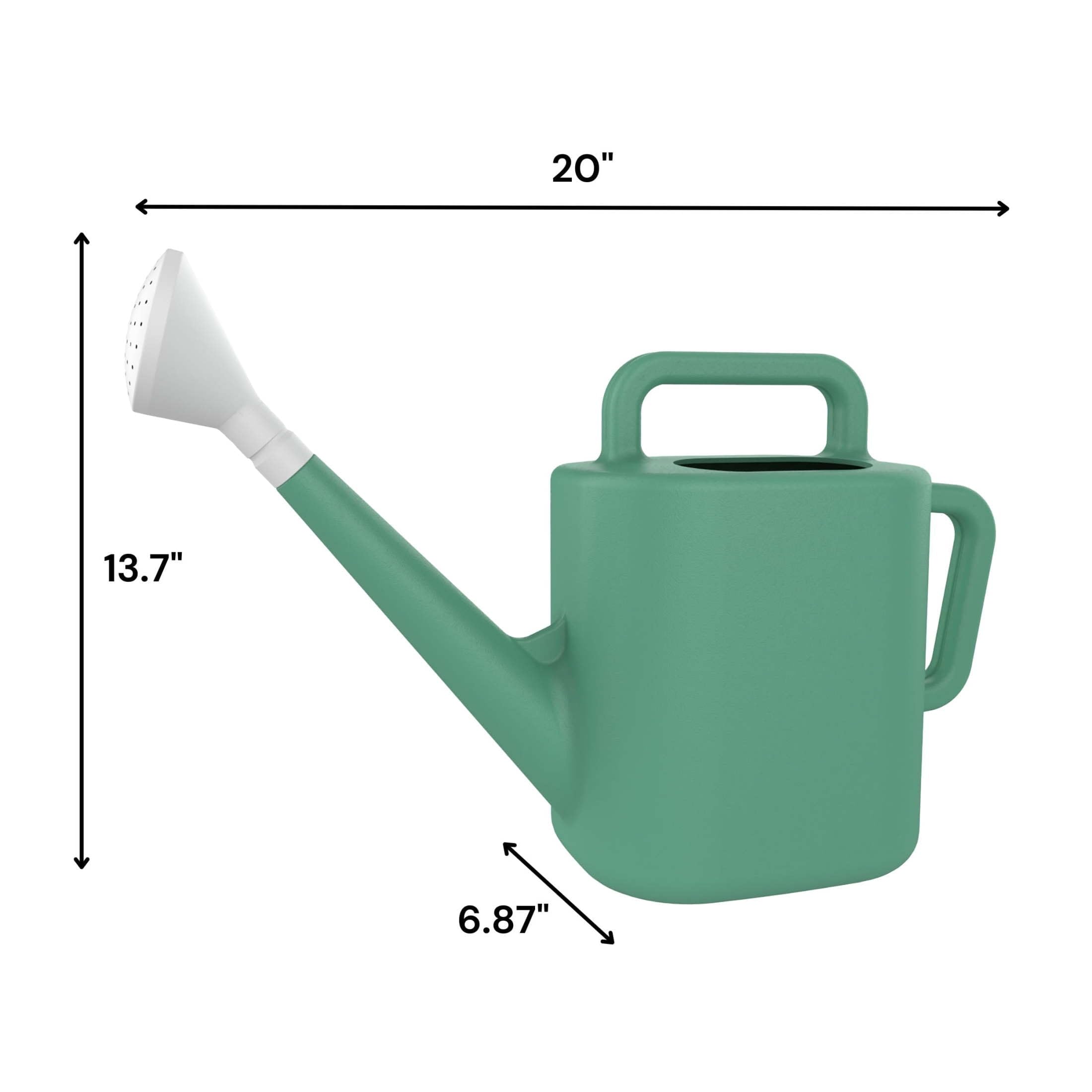 2 Gallon Resin Watering Can, Green Lily Design with Top & Side Dual Handles, Offset Opening for Easy Refill, Indoor & Outdoor Garden Use