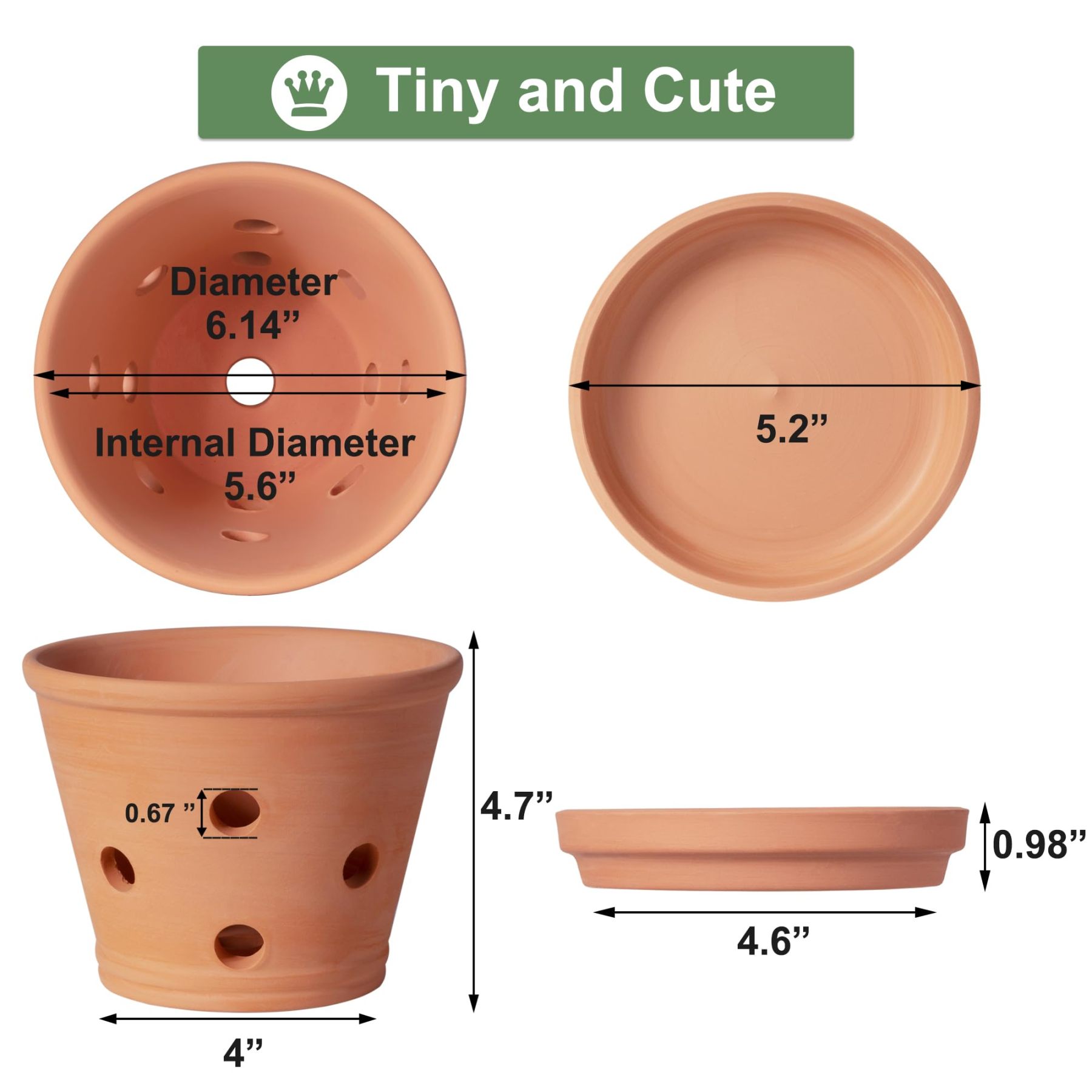 6 Inch Terracotta Orchid Pots with Drainage Holes & Saucers – 3 Pack Clay Planters for Repotting, Indoor & Outdoor Use