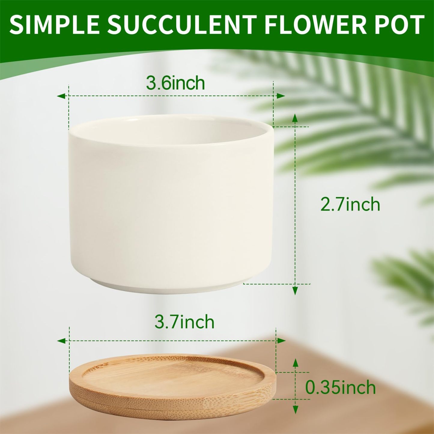 Ceramic Succulent Pots, 3.6 Inch Small Ceramic Plant Pots – 6 Pack White Succulent Planters with Drainage & Bamboo Tray for Home & Office