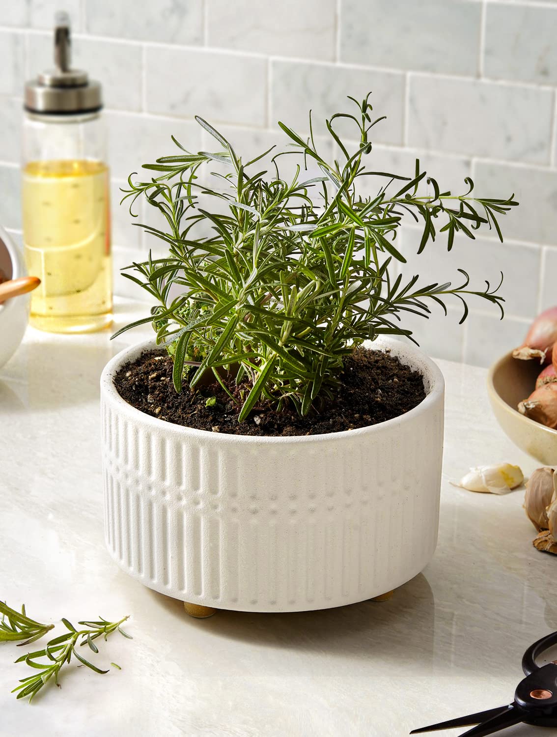 Succulent Pots Set of 2, 6.5+8 Inch Matte White Ceramic Planters, Shallow Round Succulent Planters with Drainage Hole for Indoor Use