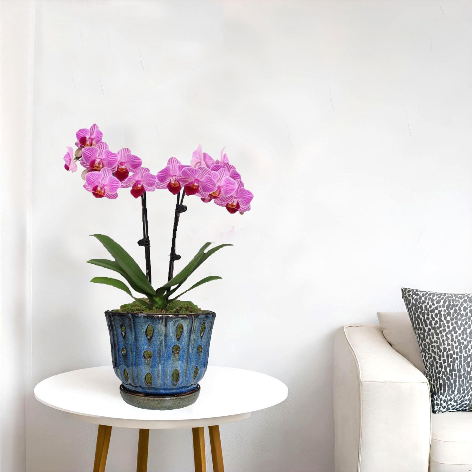 6 Inch Round Ceramic Orchid Pot with Holes, Premium Orchid Planter for Indoor Outdoor Use