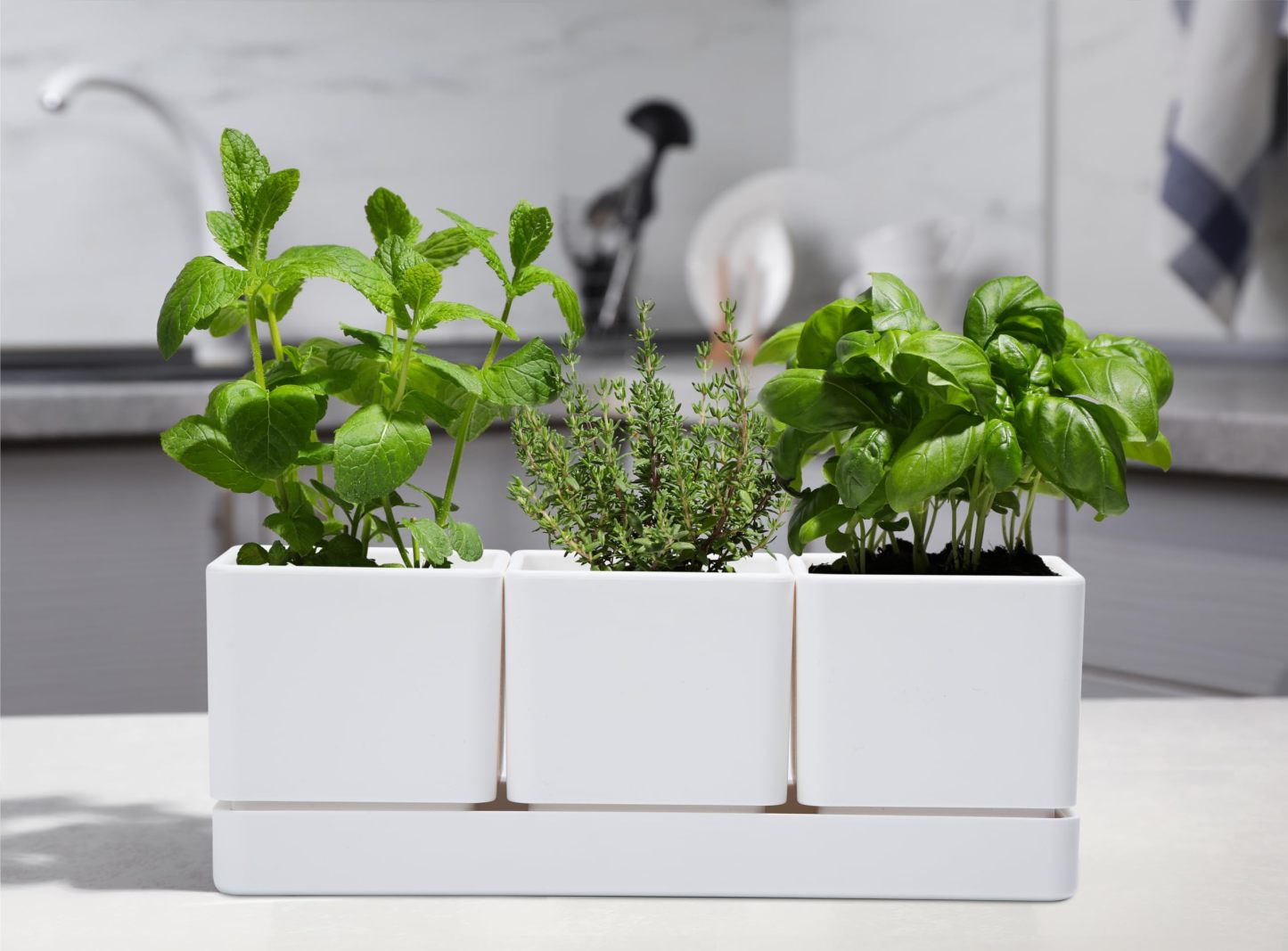 White Herb Garden Planter Set, Plastic Plant Pots with Drainage Holes & Saucers, Indoor Succulent Cactus Herb Pot for Windowsill, Balcony & Garden Decor