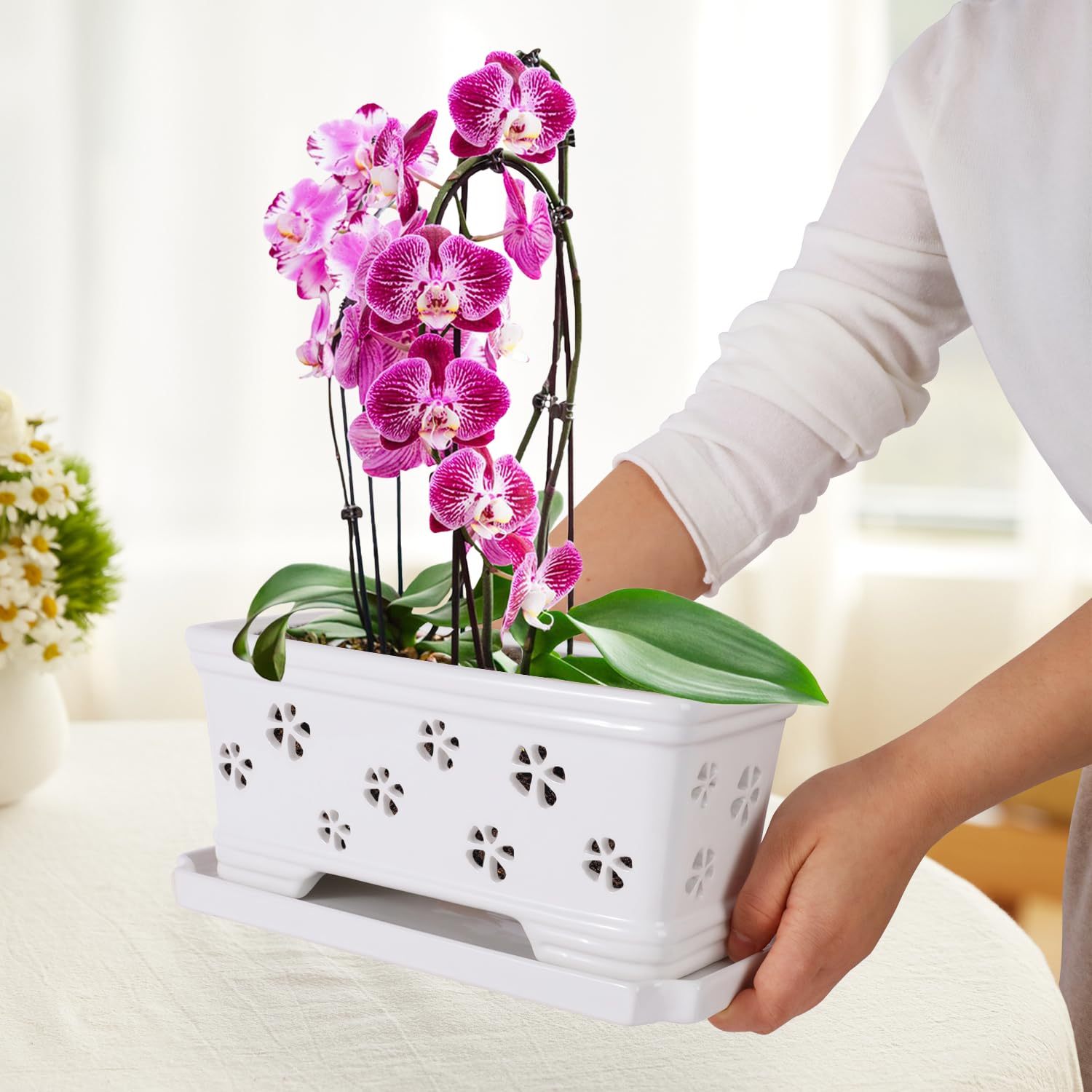 Rectangle Ceramic Orchid Pot with Holes & Saucer