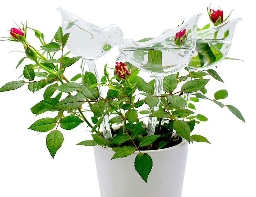 Bird Shaped Glass Self Watering Globes, Automatic Plant Waterer Planter Inserts, Watering Bulbs for Indoor Plants