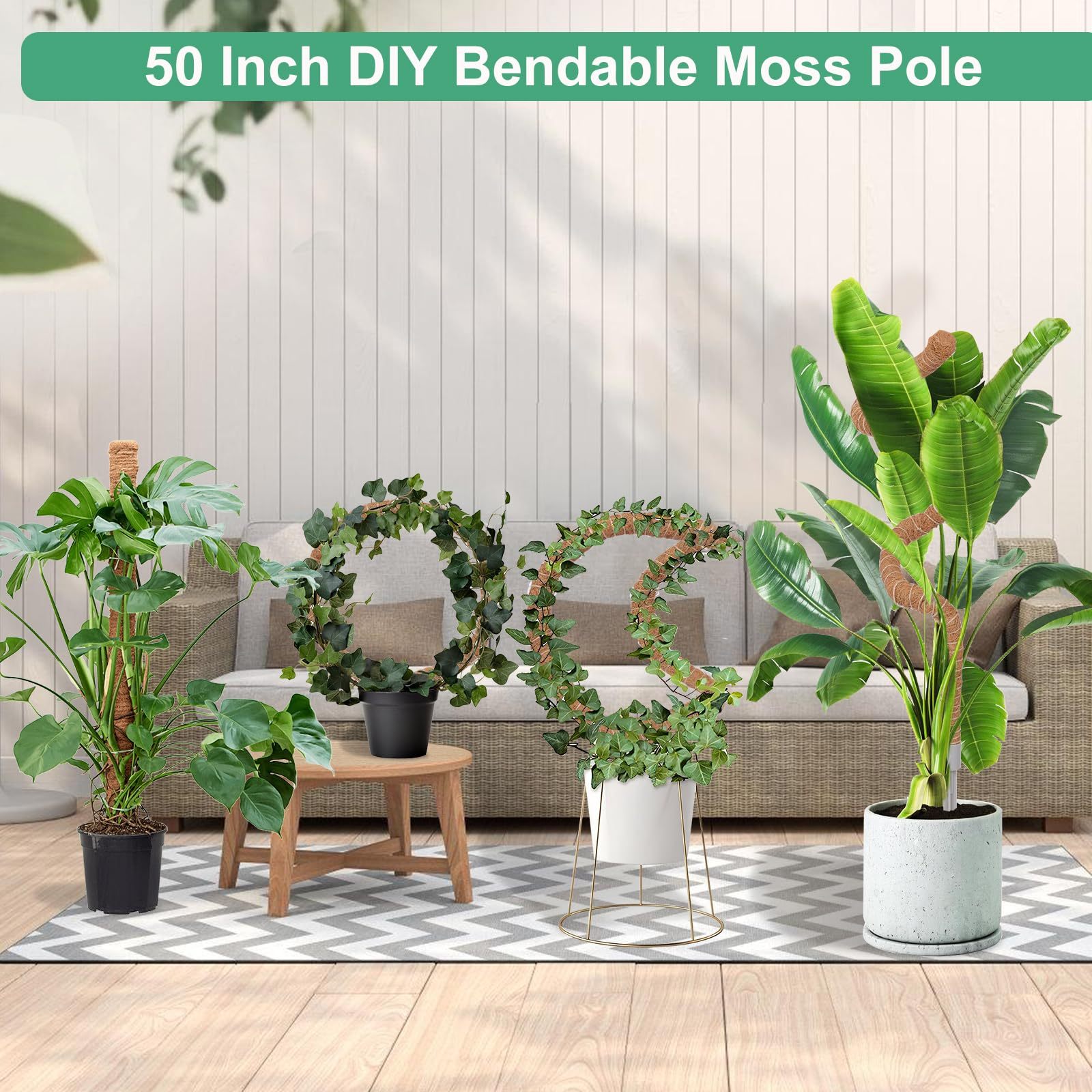 3 Pack 50 Inch Tall Coco Coir Moss Poles, Sturdy Climbing Plant Support Stakes for Monstera, Pothos, Philodendron and Indoor Tropical Plants