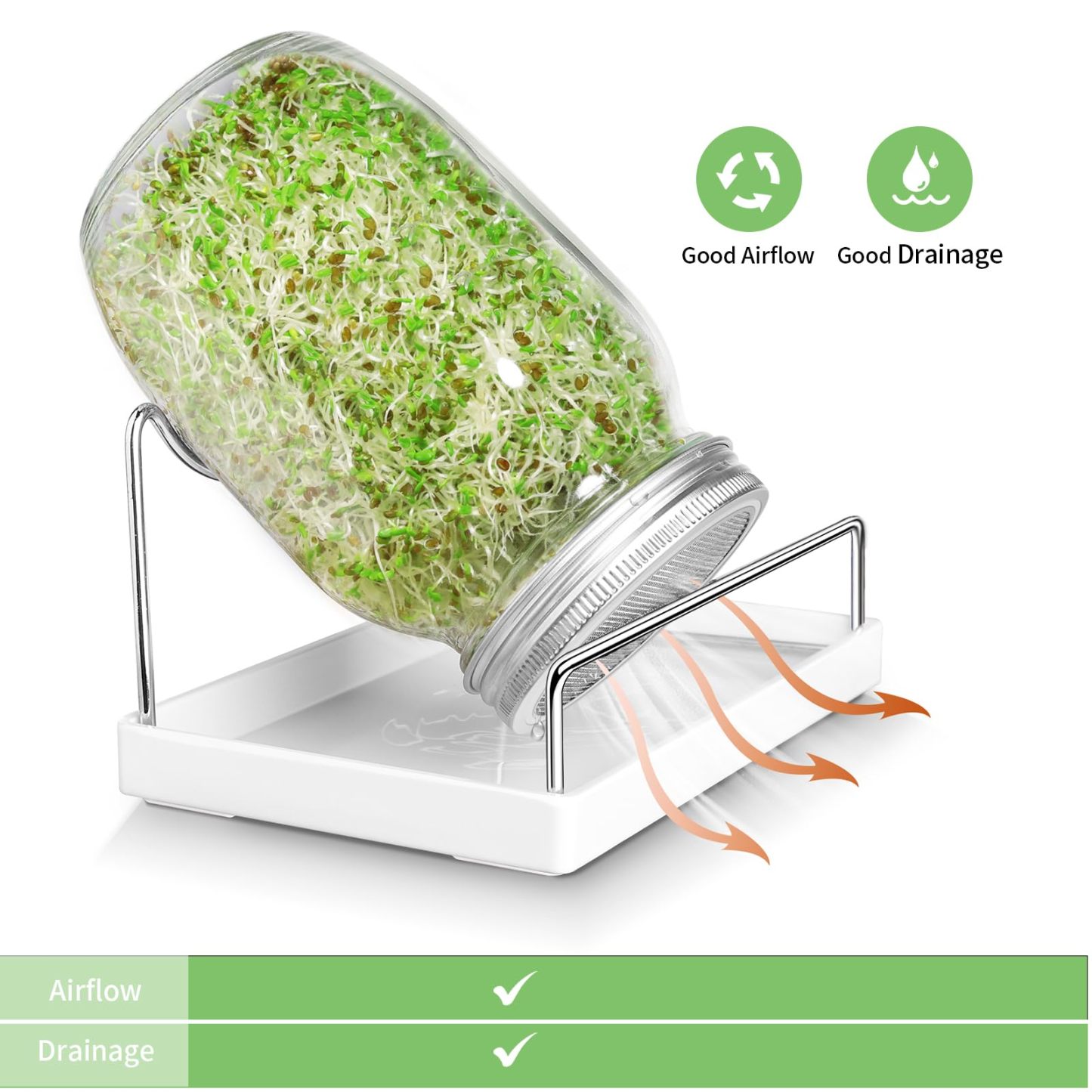 Seed Sprouting Jar Kit, 2 Pack Wide Mouth Mason Jars with 316 Stainless Steel Sprouting Lids, Drip Tray & Stand for Growing Broccoli, Alfalfa, Bean Sprouts