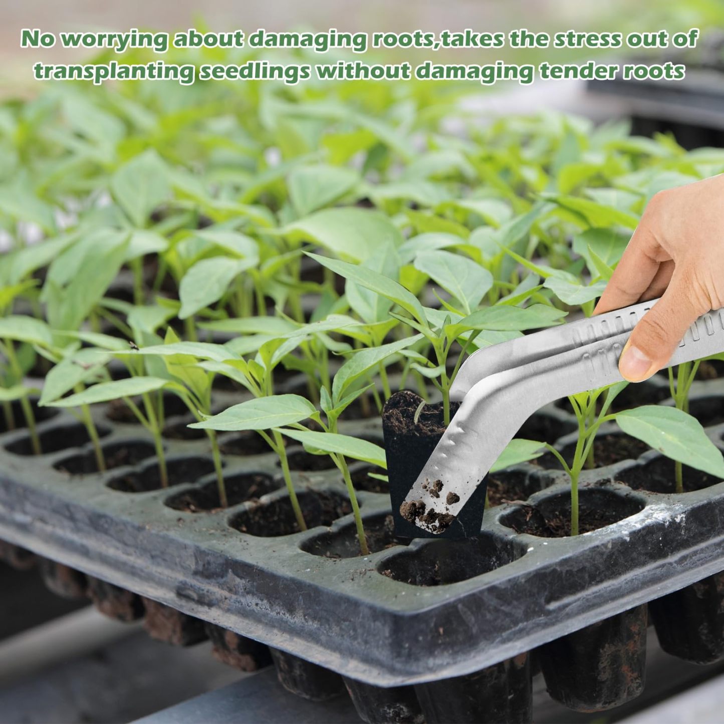 Seedling Transplant Tongs, Stainless Steel Seedling Transplanter Tool with Anti-Slip Tips, Root-Friendly Seedling Remover for Garden Planting