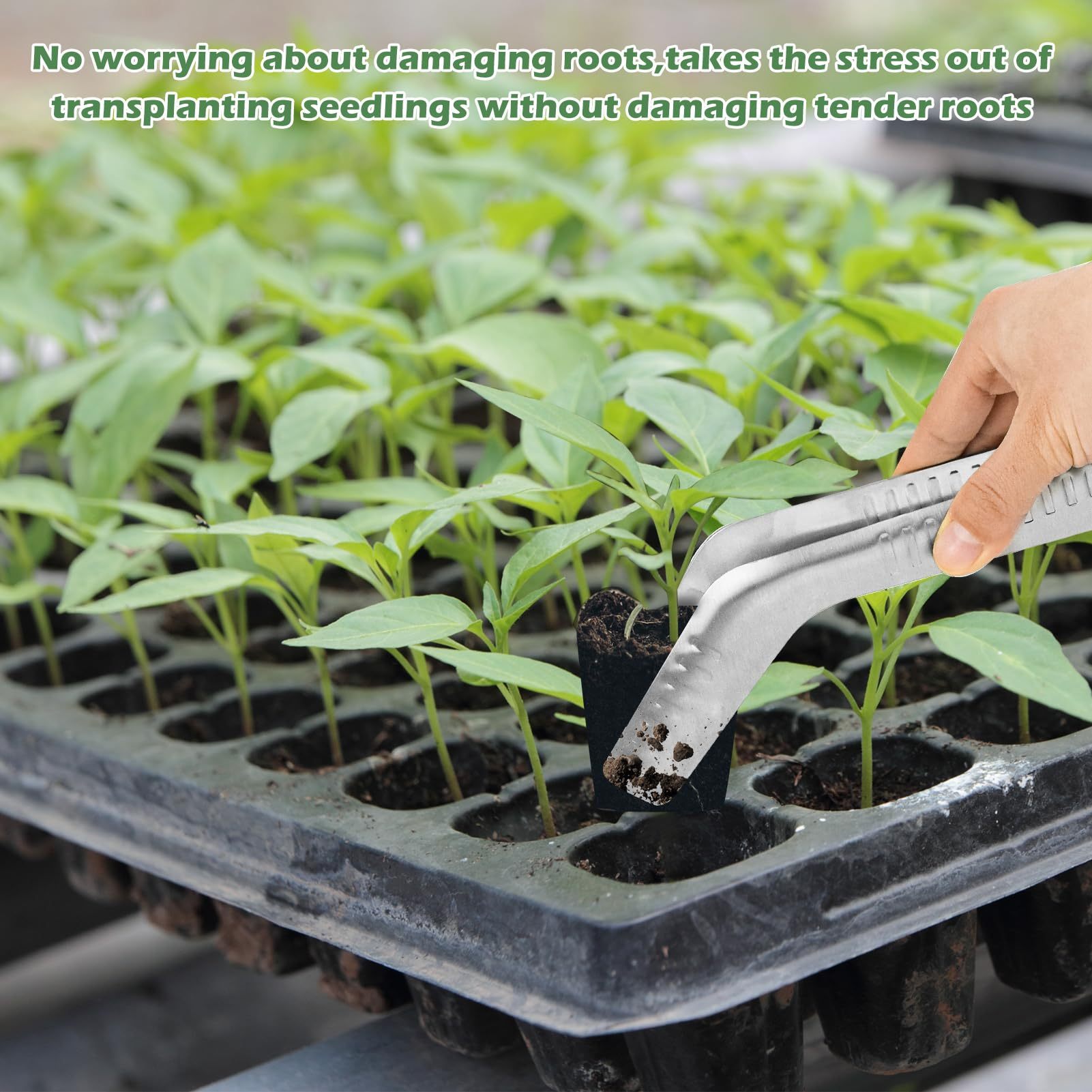 Seedling Transplant Tongs, Stainless Steel Seedling Transplanter Tool with Anti-Slip Tips, Root-Friendly Seedling Remover for Garden Planting