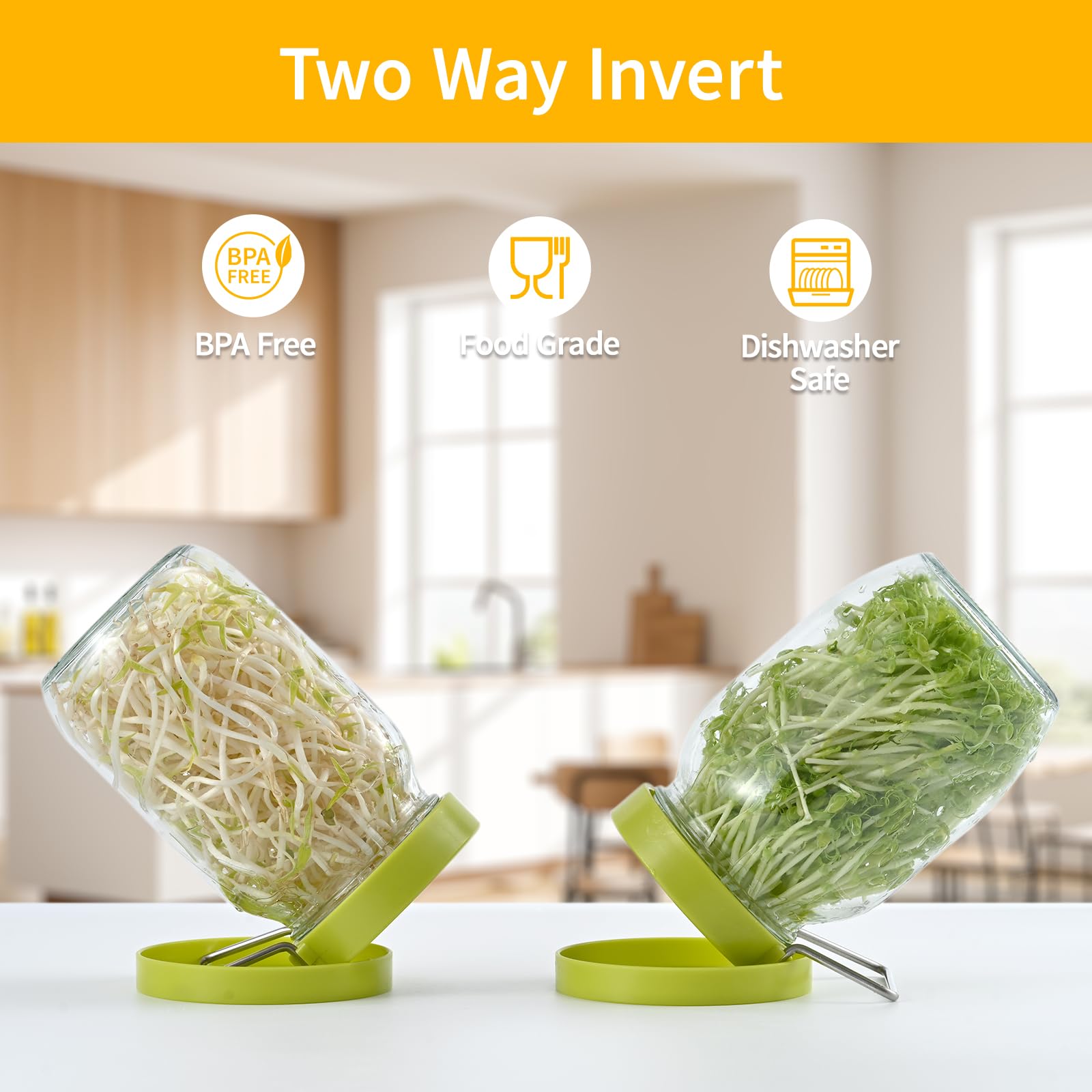 2 Pack Wide Mouth Jar Seed Sprouting Kit, 316 Stainless Steel Mesh Germination Lid with BPA-Free Drip Tray & Tilted Design, Ideal for Bean Sprouts, Broccoli, Alfalfa & Microgreens