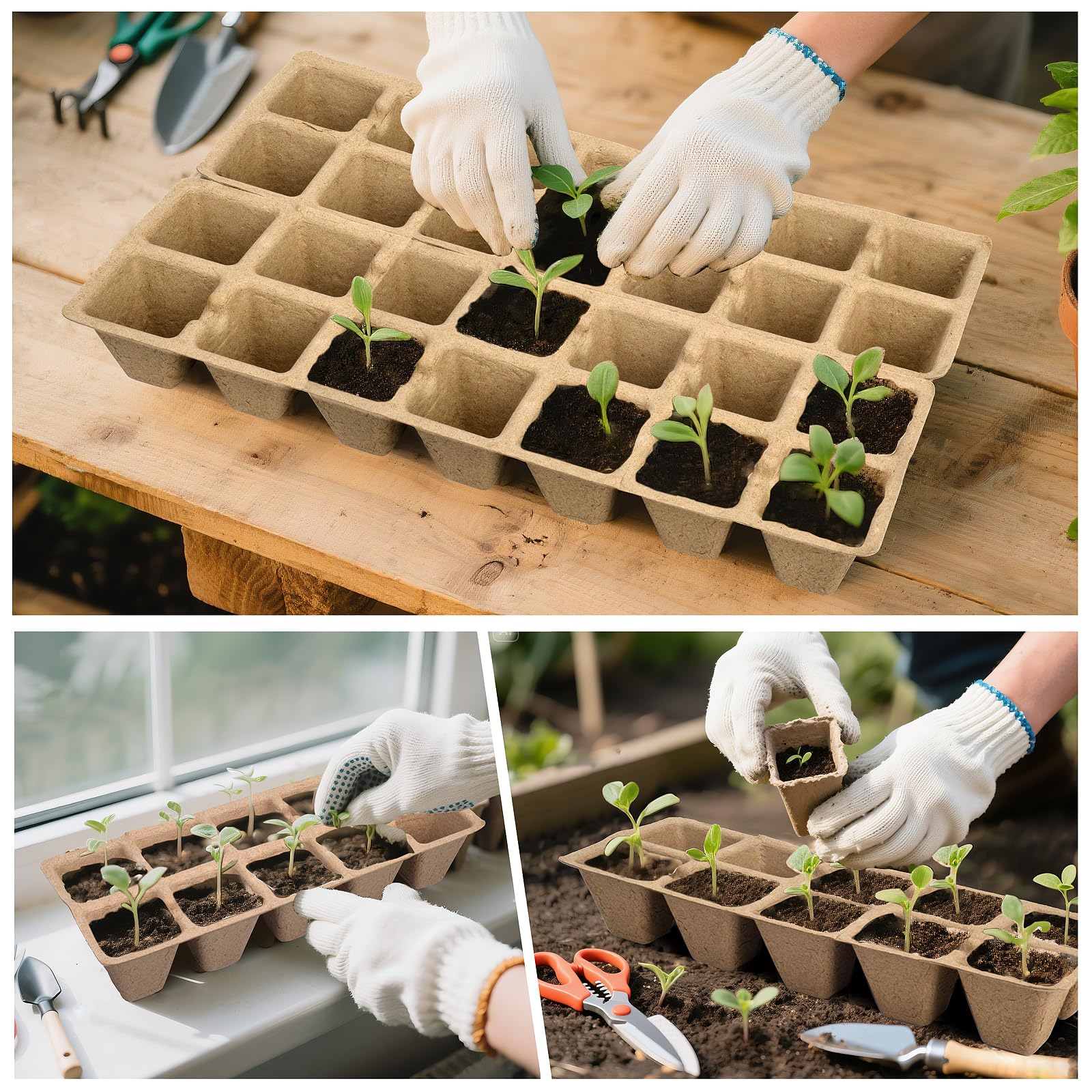 200 Cells Peat Pot Seed Starter Trays 20 Sets, Biodegradable Germination Growing Trays with Markers for Seedlings Cultivation