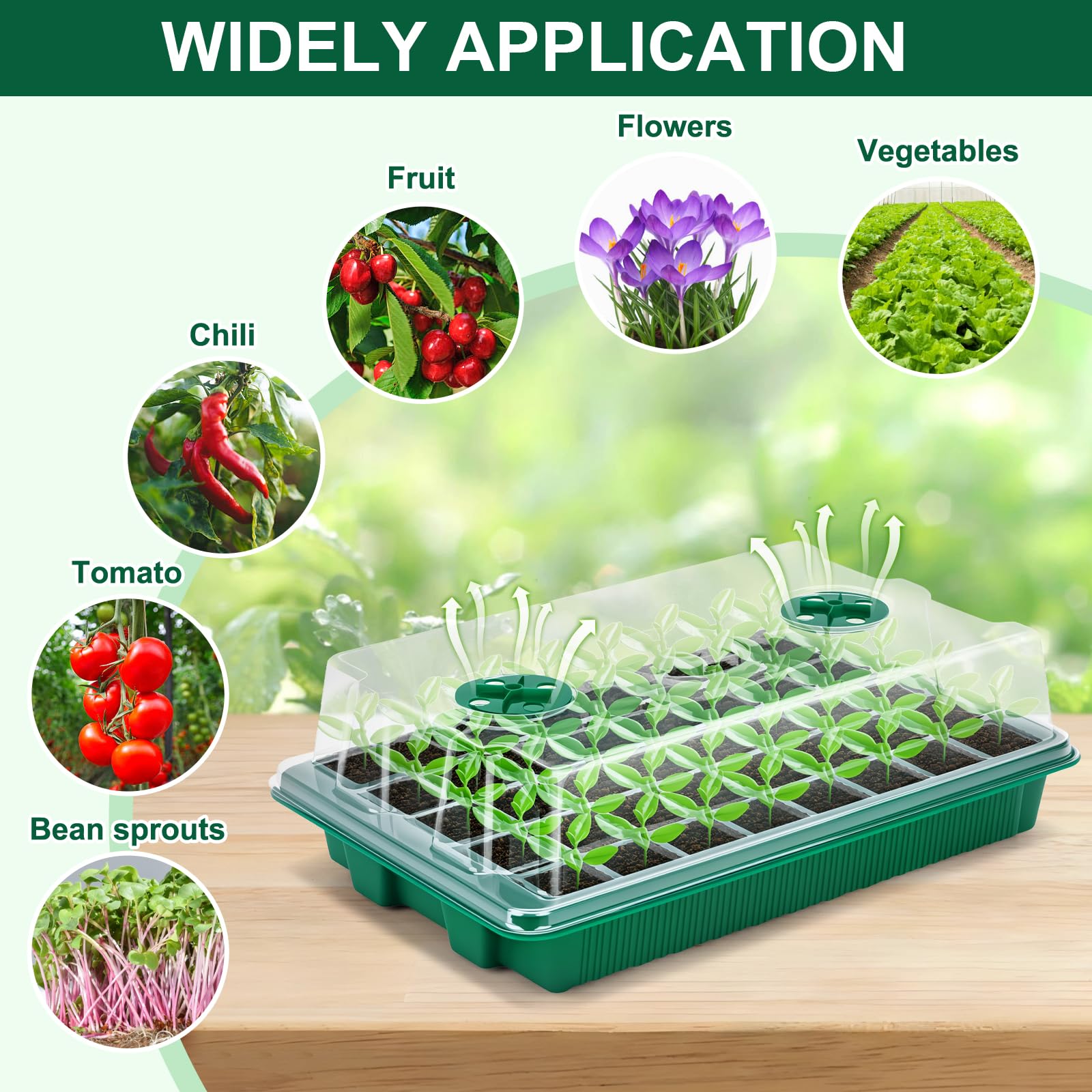 5 Pack Seed Starter Trays, 200 Cells Total Seed Starting Kit with Adjustable Humidity Dome, Mini Greenhouse Plant Germination Tray for Seedlings Growing