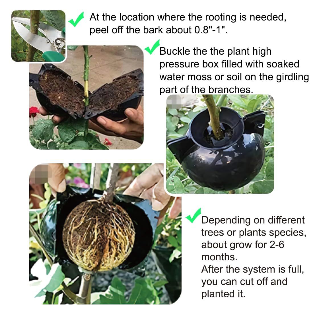 10 PCS Air Layering Propagation Kit, Reusable Clear Grafting Rooting Balls with Zip Ties, Transparent Plant Layering Pods for Fast Plant Rooting & Propagation