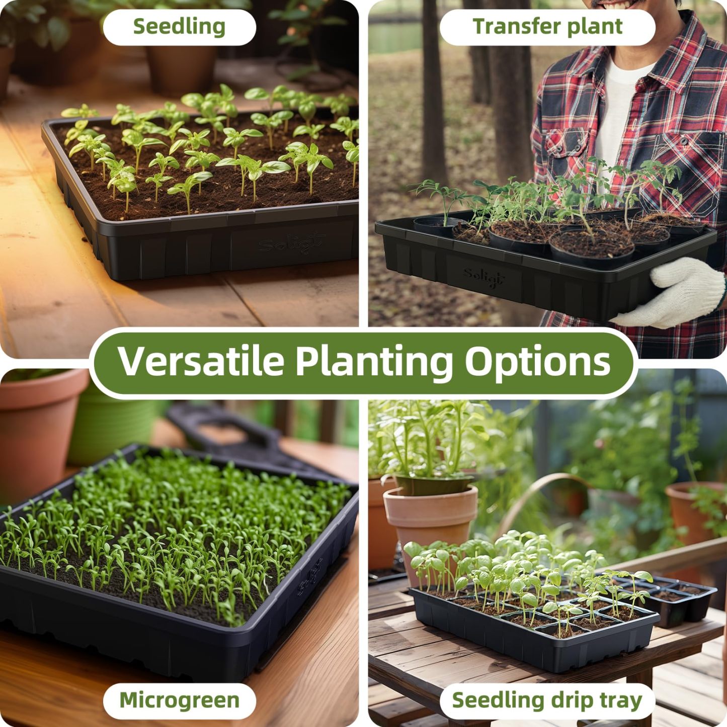 10 Pack Extra Thick Seed Starting Trays, Heavy Duty No Hole Microgreens Growing Trays, Leakproof Reusable Plant Germination Flats for Seedling Fodder Transplant 14×10.8×2.3 Inch