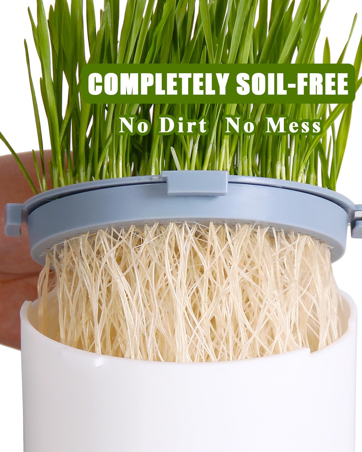 2Pcs Hydroponic Cat Grass Planter, Soil Free Wheatgrass Growing Tray, Anti Digging Anti Uprooted Cat Grass Grow Kit for Indoor Pets Cats, Without Seeds