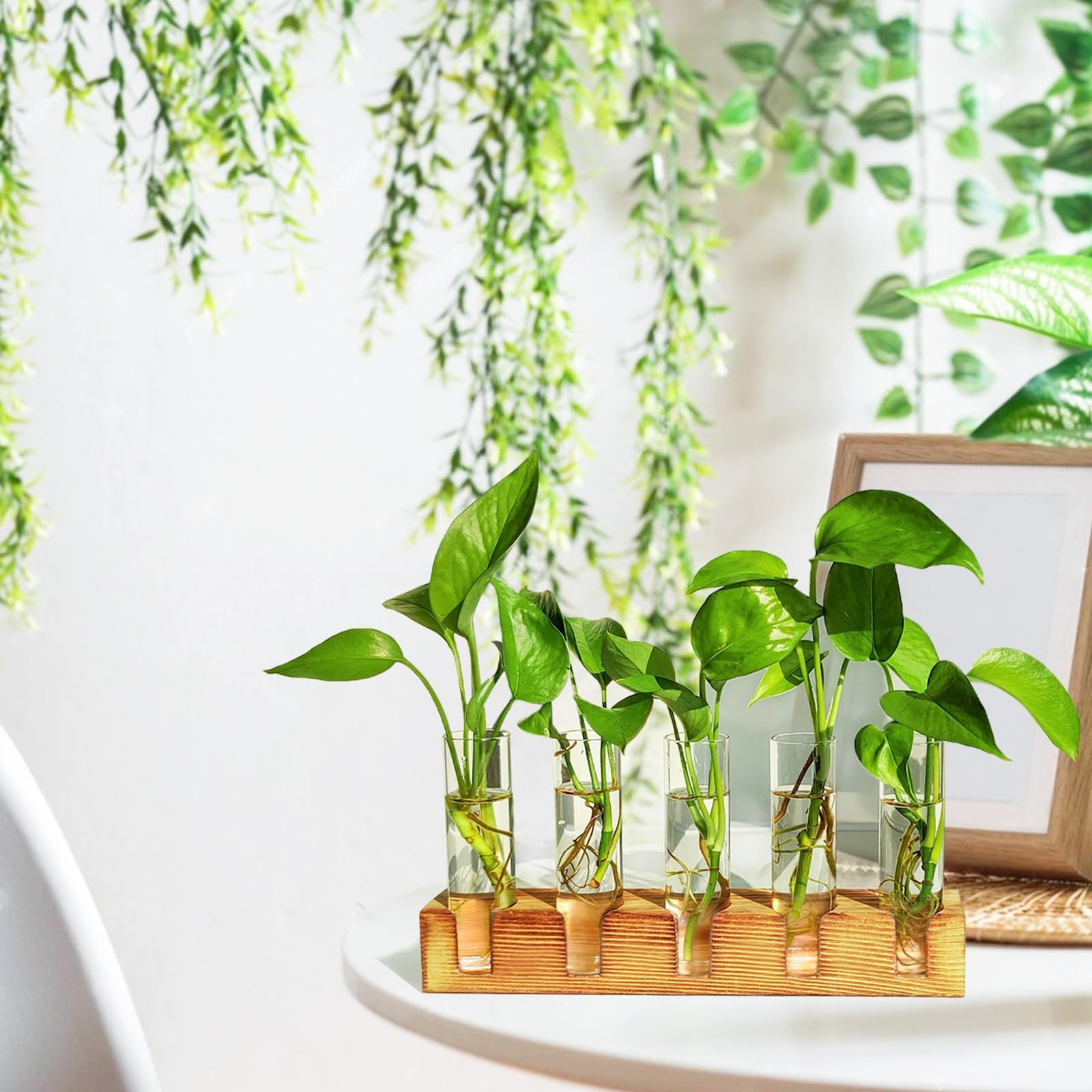 Plant Propagation Station, 5 Glass Test Tube Vases with Wooden Stand, Hydroponic Plant Terrarium, Unique Small Birthday Gardening Gifts for Women Mom Plant Lovers