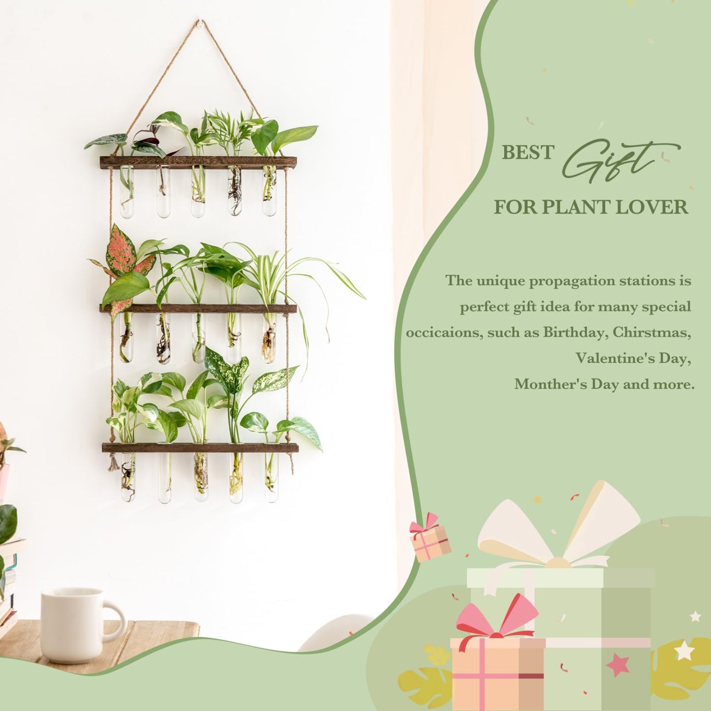 3 Tier Wall Hanging Plant Propagation Tubes, Wooden Frame Test Tube Glass Vase, Hydroponic Cuttings Terrarium, Home Garden Office Wall Decor Gift