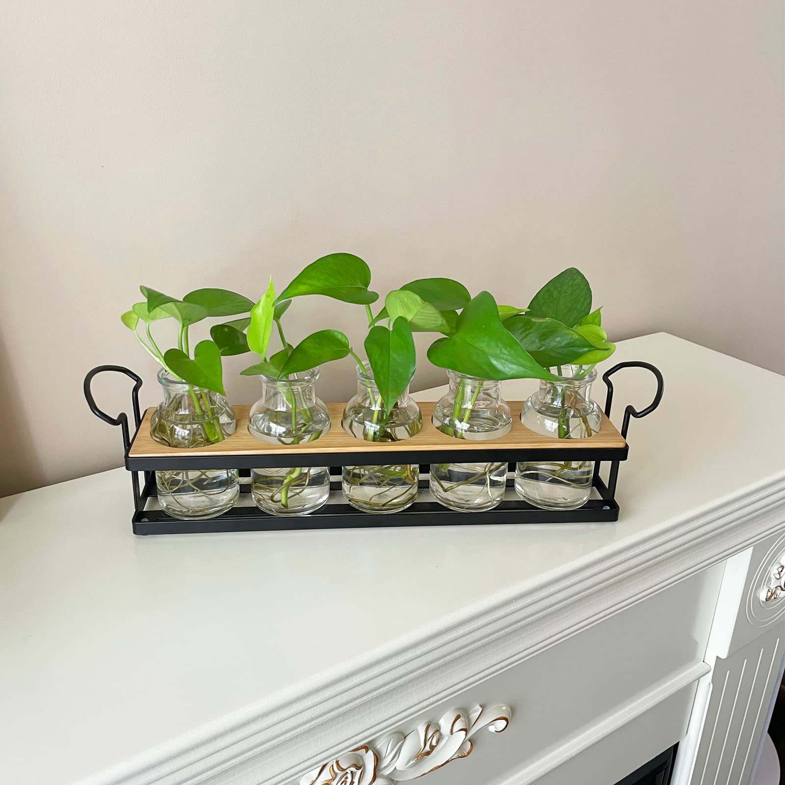 Tabletop Plant Propagation Station with Metal Stand, Retro Glass Hydroponic Planter Vase, 5 Jars Desktop Terrarium for Home Kitchen Office Decor & Plant Lovers Gifts