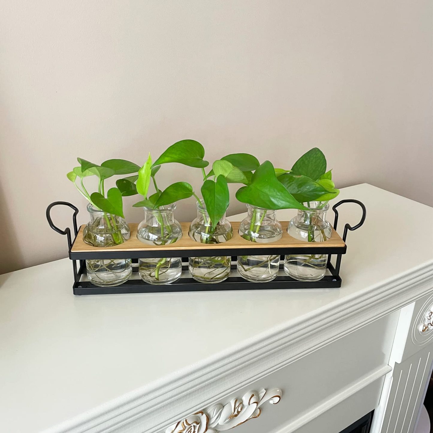 Tabletop Plant Propagation Station with Metal Stand, Retro Glass Hydroponic Planter Vase, 5 Jars Desktop Terrarium for Home Kitchen Office Decor & Plant Lovers Gifts