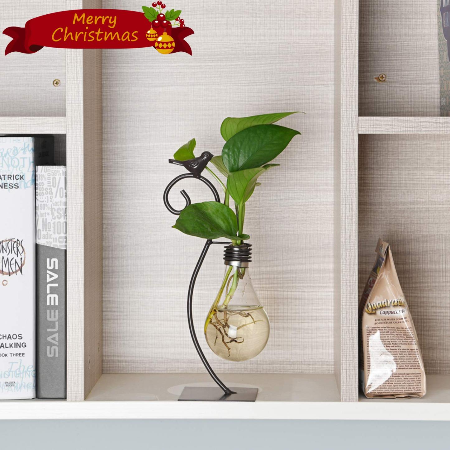Modern Glass Hydroponic Vase Bulb Shaped Desktop Planter with Metal Holder for Home Decor