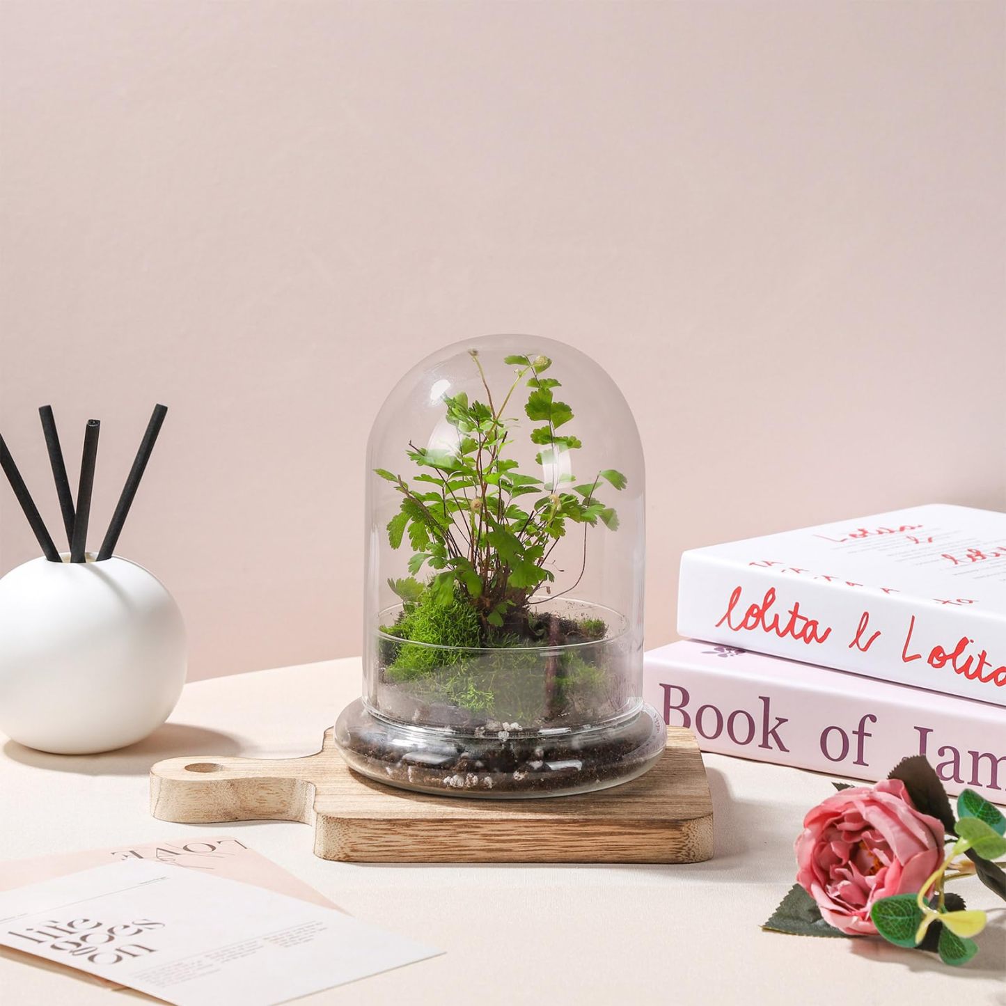 6 Inch Glass Cloche Dome with Base Mini Terrarium Cover Indoor Plant Home Display Decor